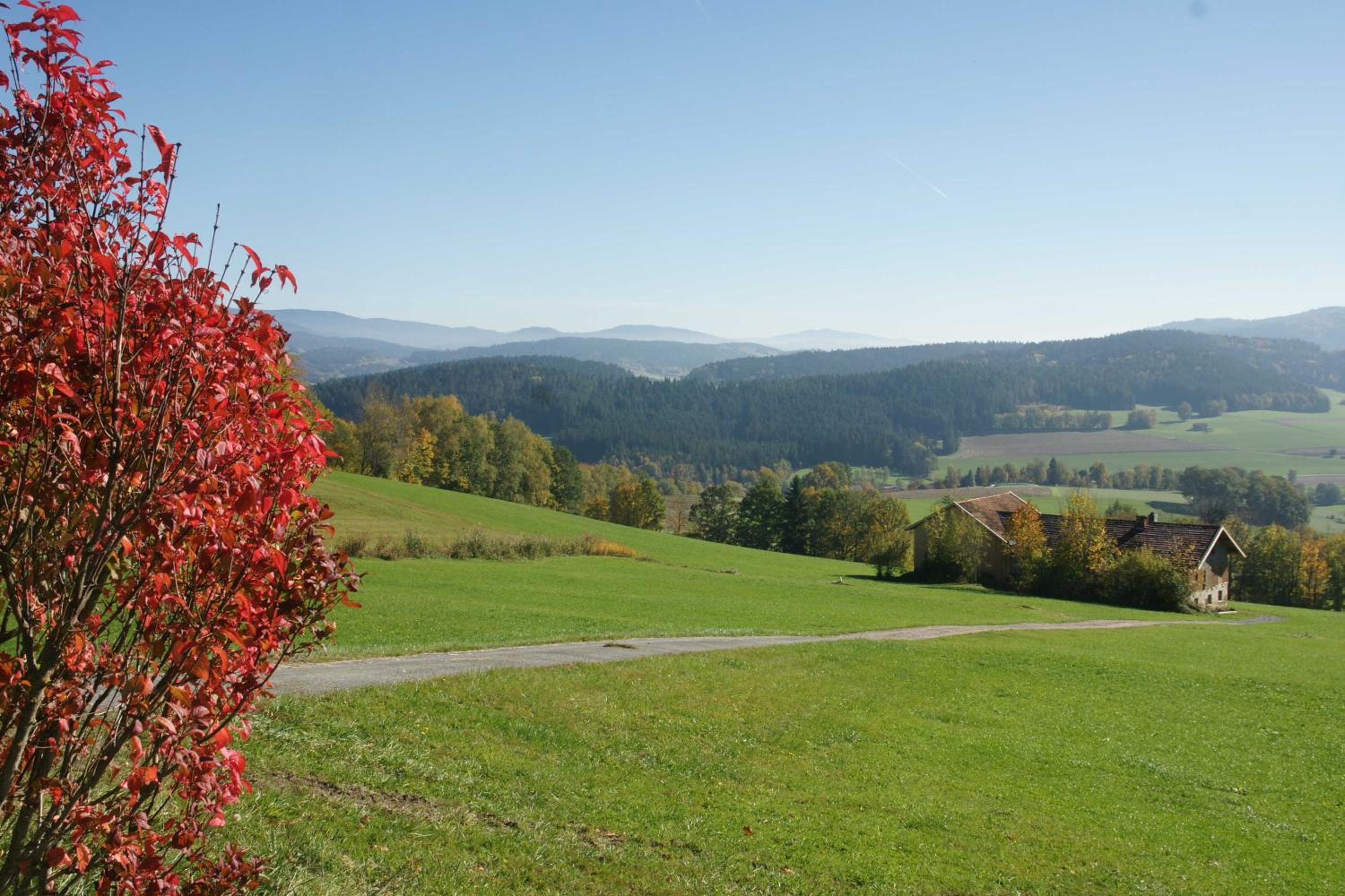 Alpenblick en Sankt Englmar — other