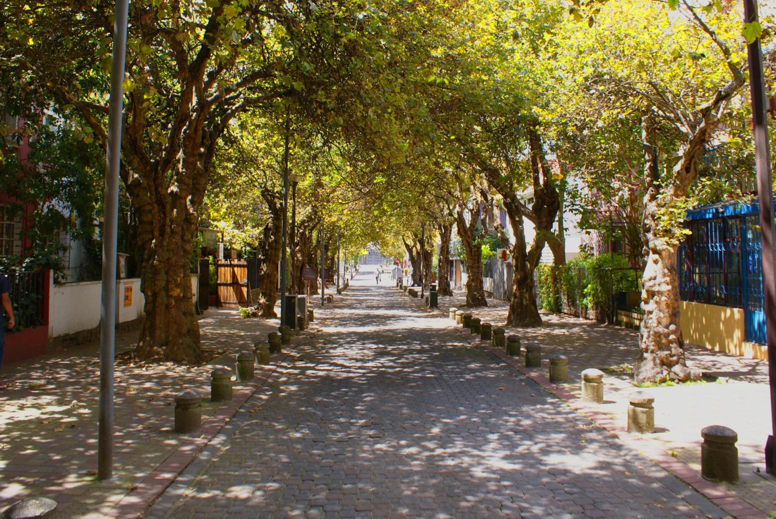 Dolce Lobo Boutique Stay