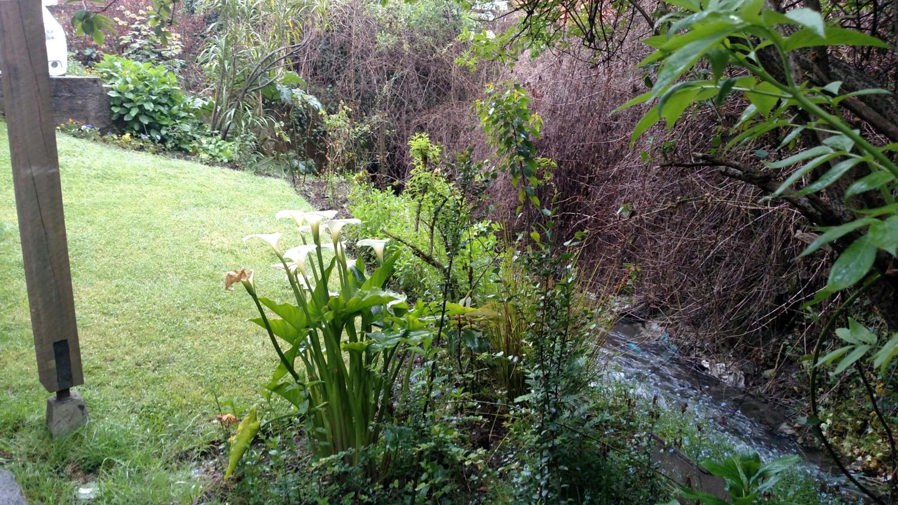 Omi Kika B&B