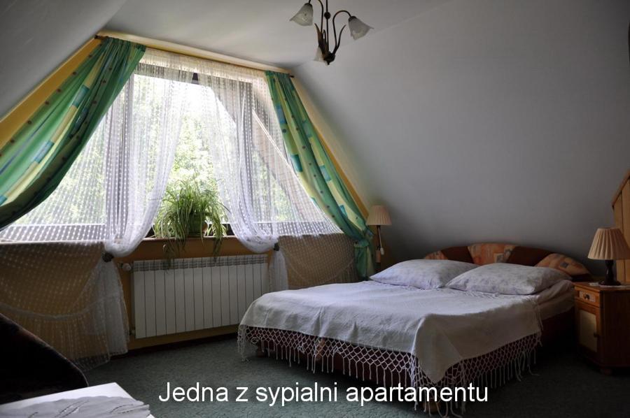Photo 31