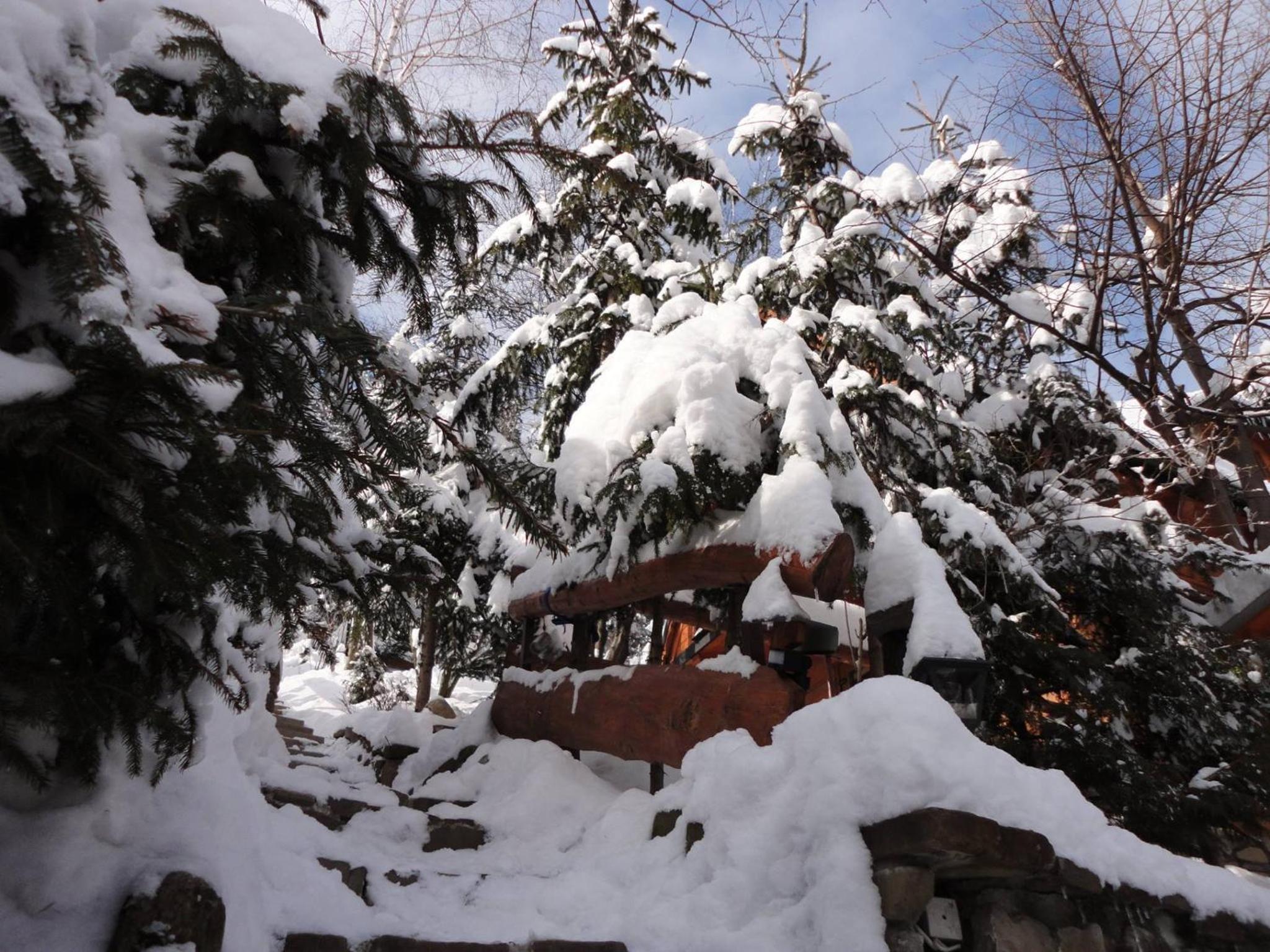 Photo 43