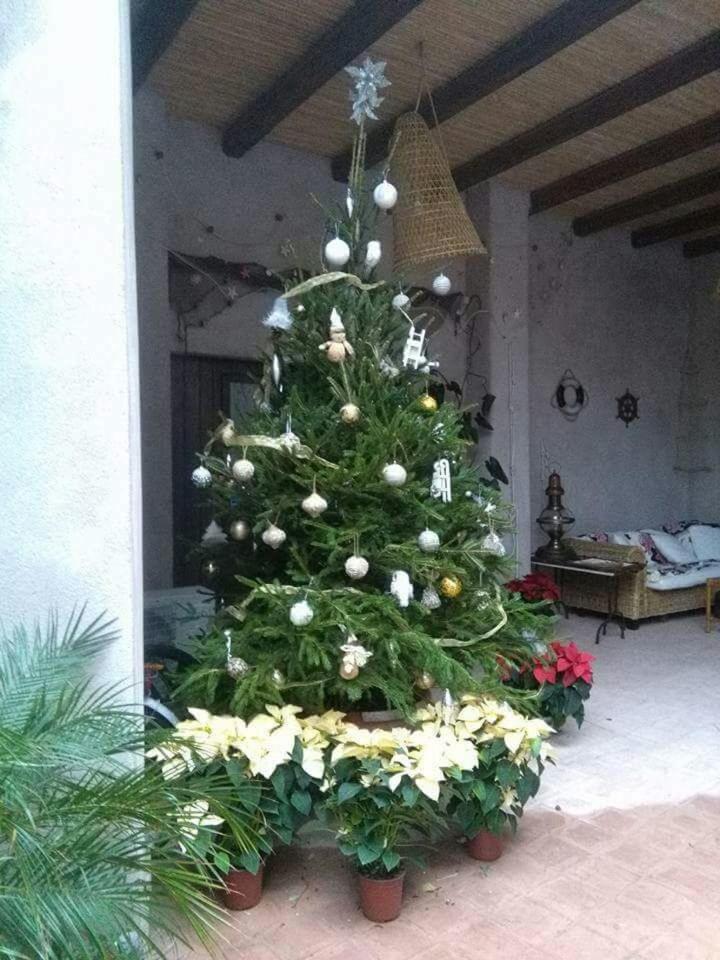 Antico Ormeggio photo 5
