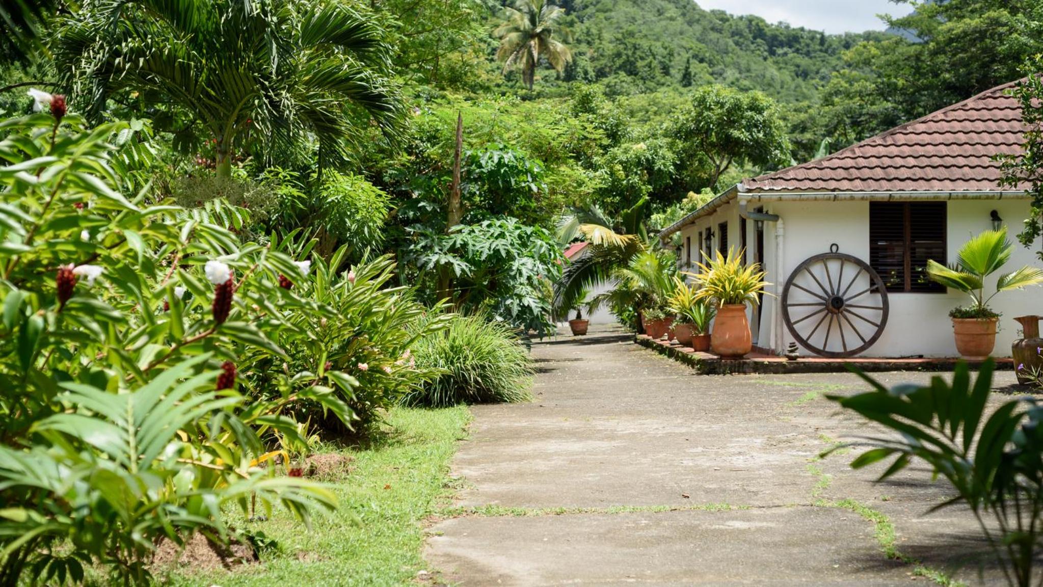 Martinique Treehouse view 3