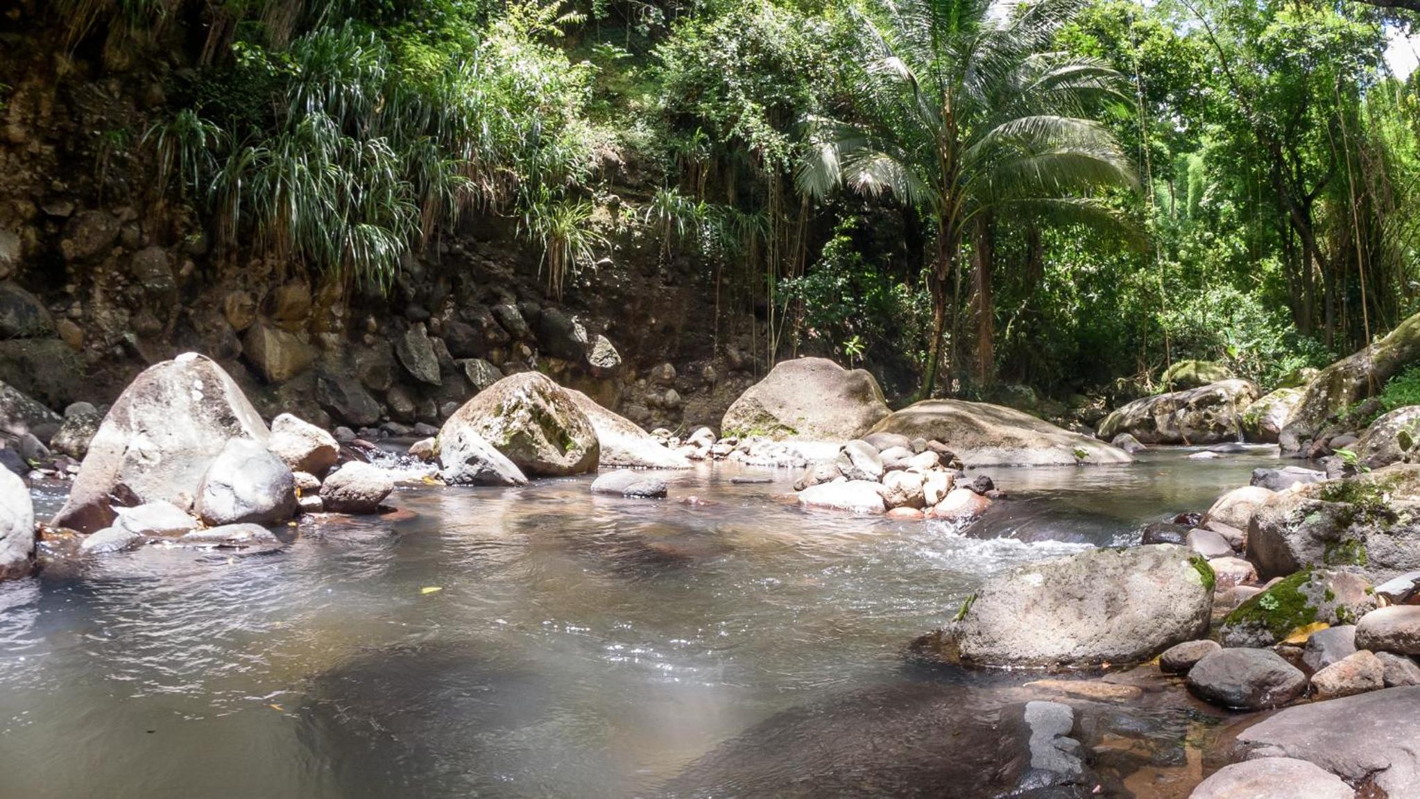Martinique Treehouse view 4