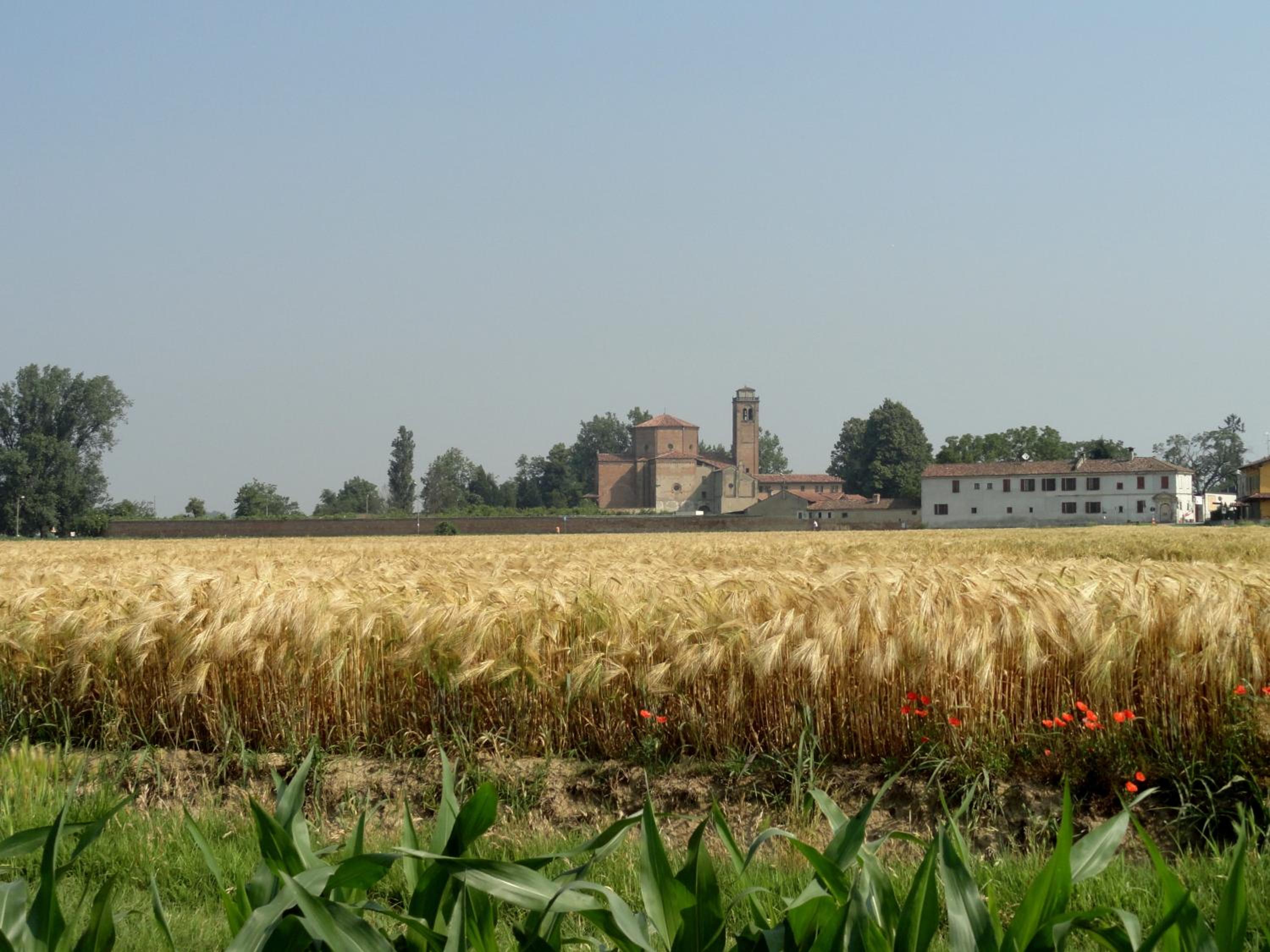 Agriturismo Santa Maria Bressanoro view 3