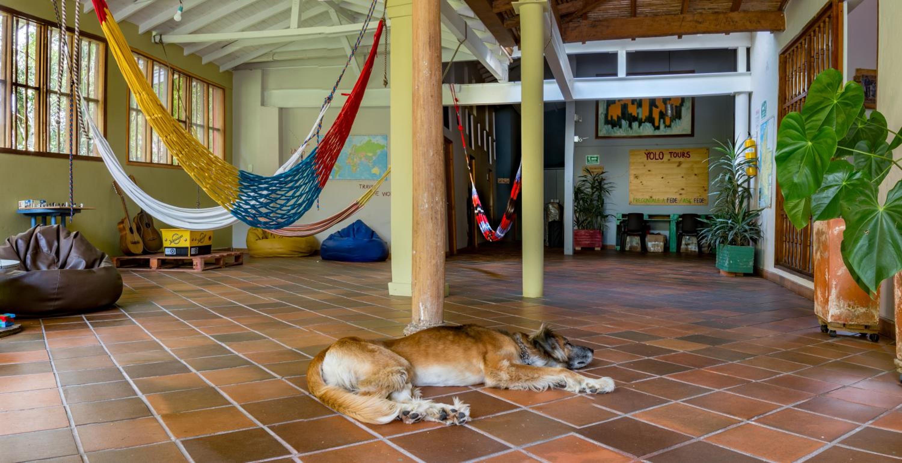 Yolo Hostel Medellin