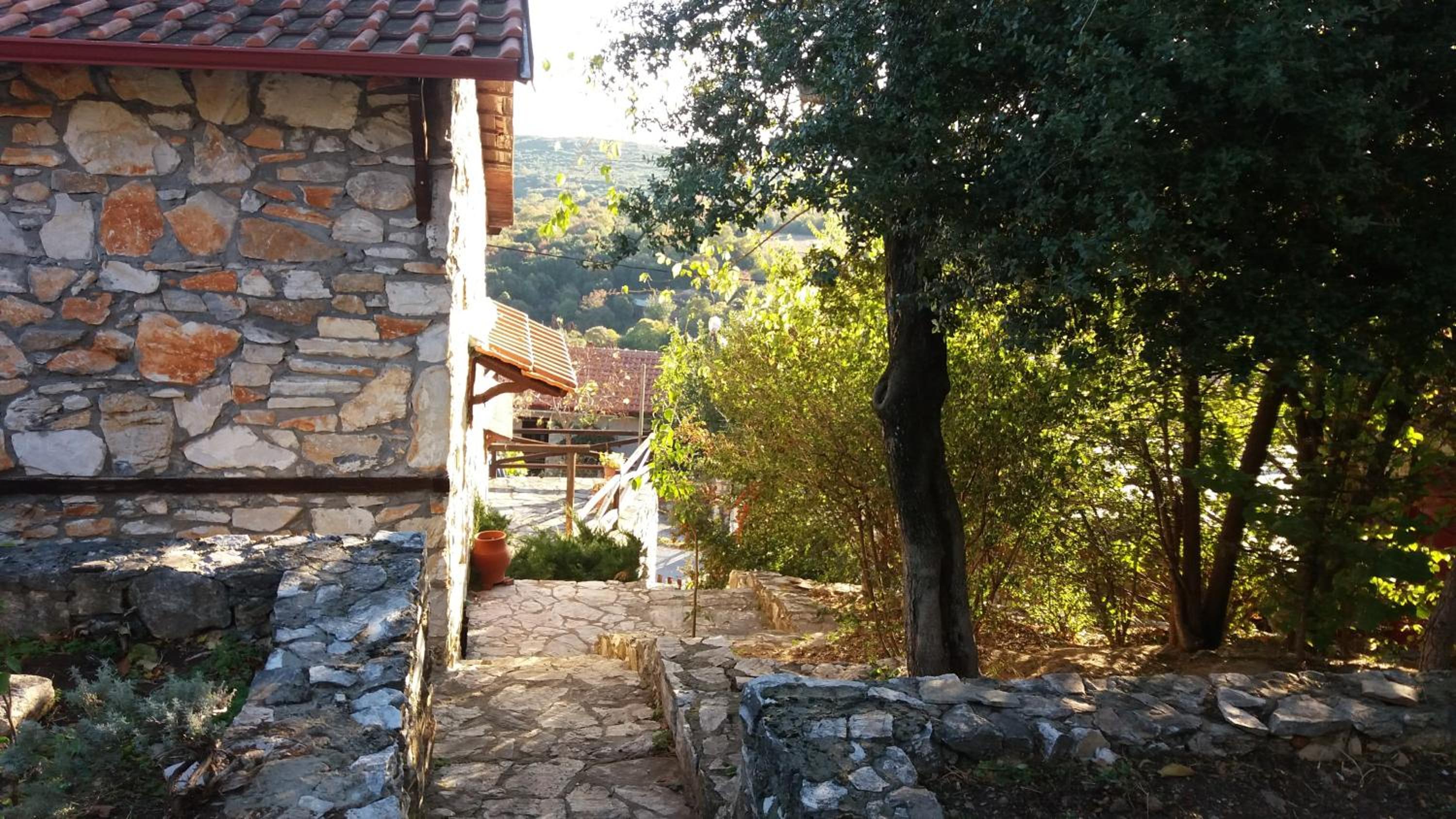 Photo 28