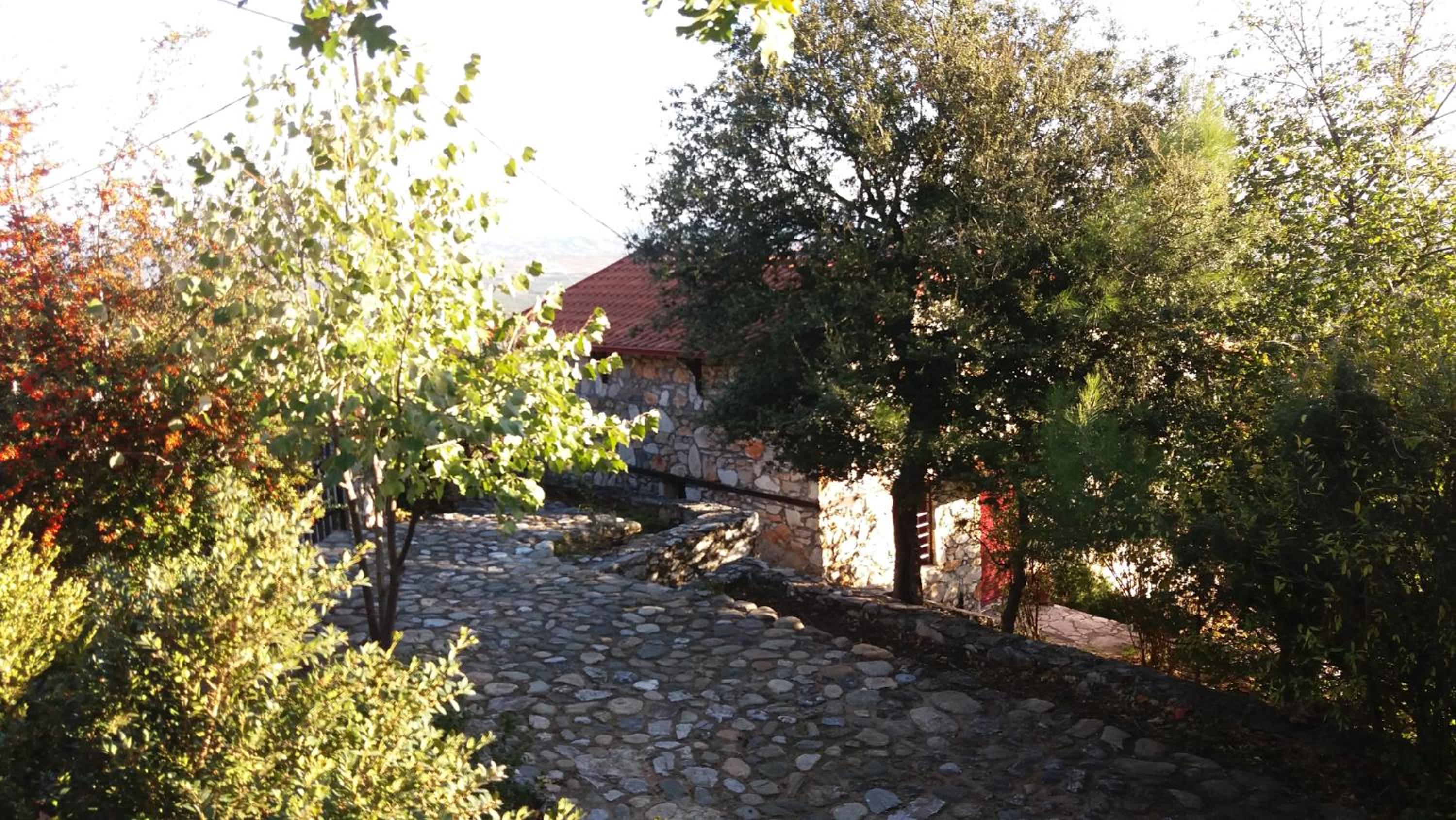 Photo 34