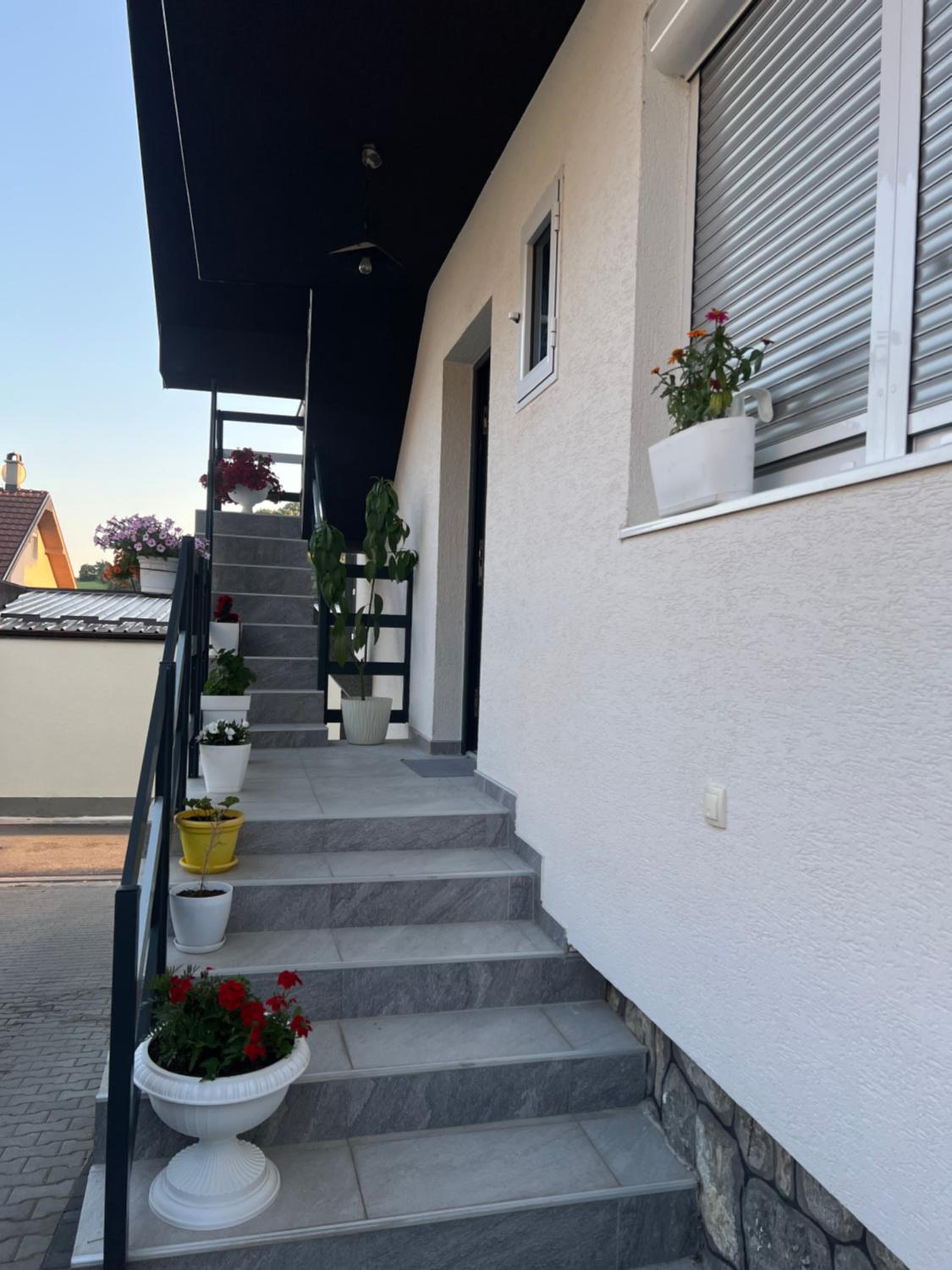 Home Nikolić