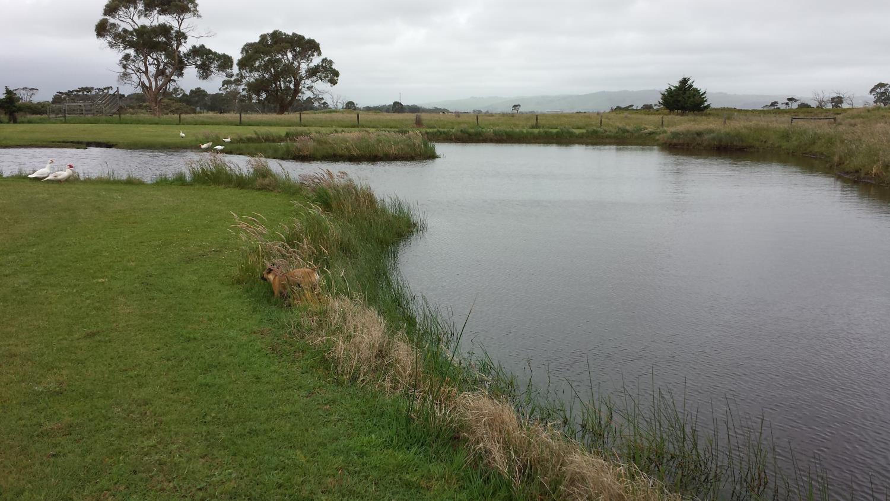 Bass Coast Country Cottages