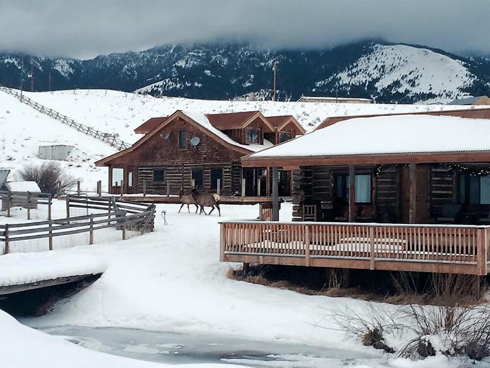 Creek Cabin view 5
