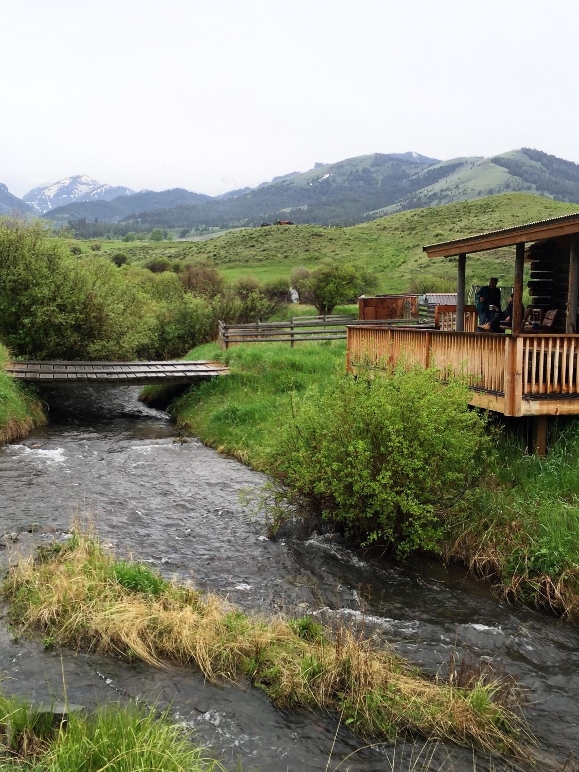 Creek Cabin view 4