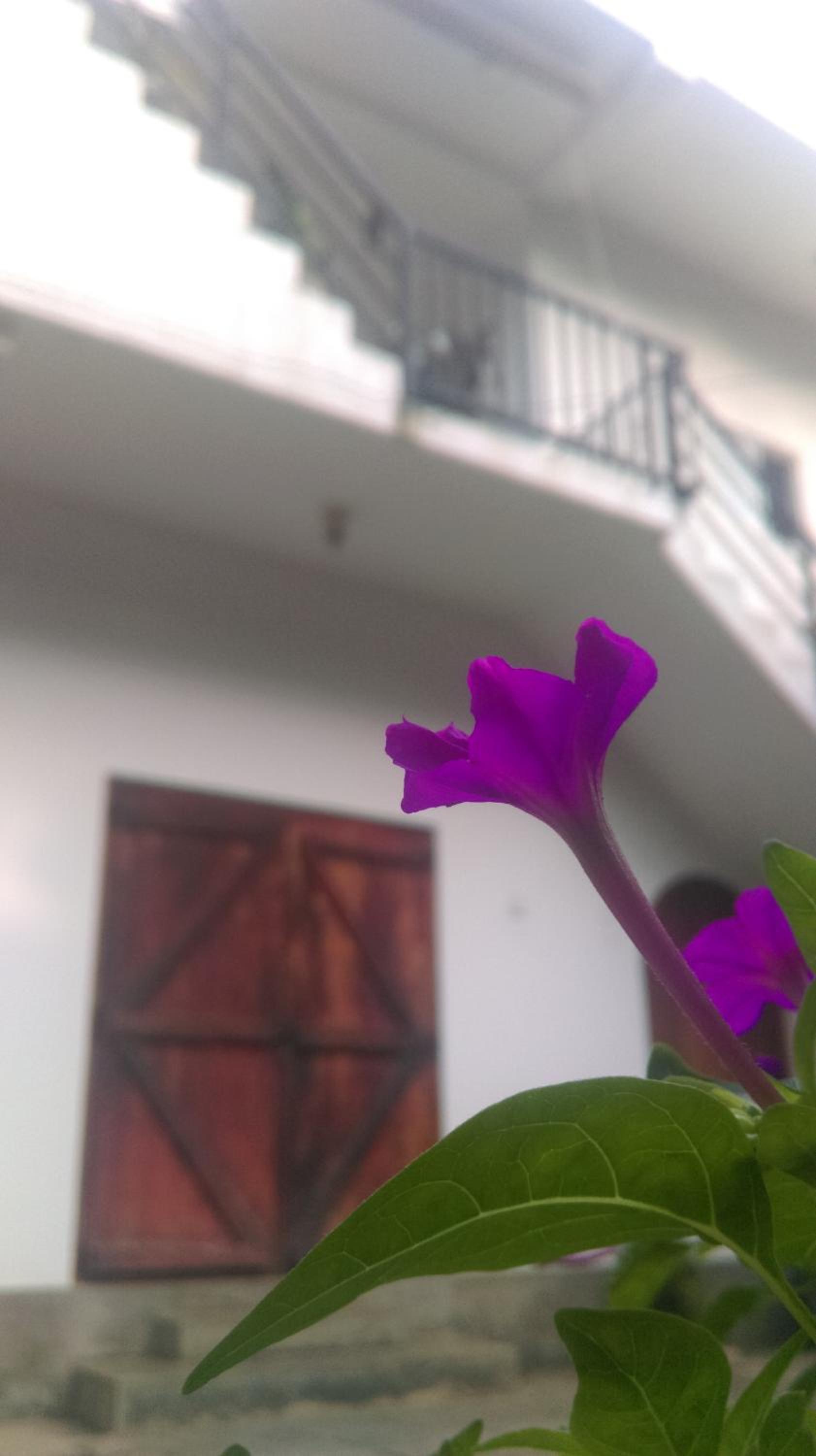 Aluthgedara Guest House