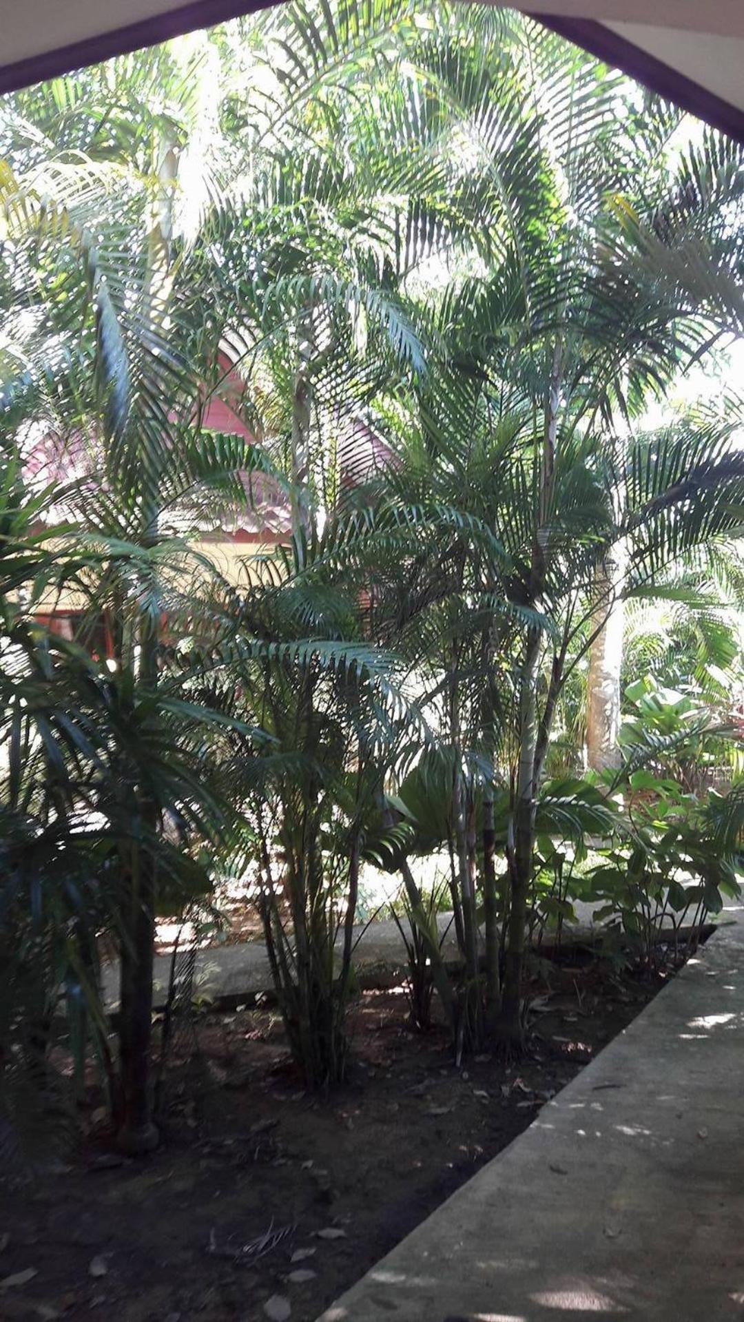 Photo 44