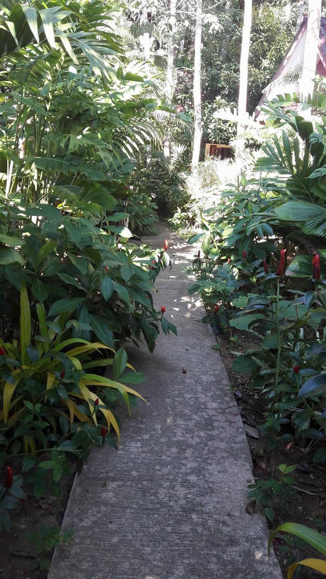 Photo 46
