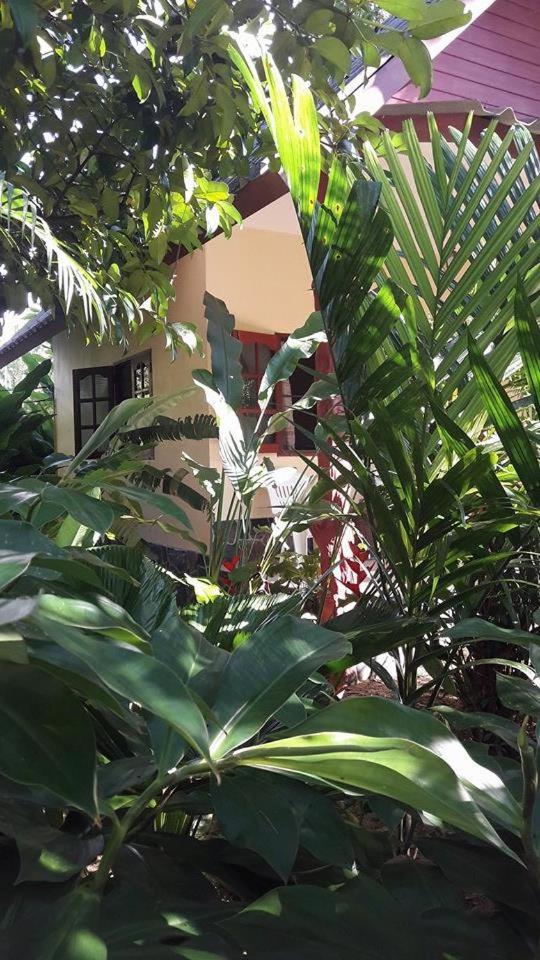 Photo 47