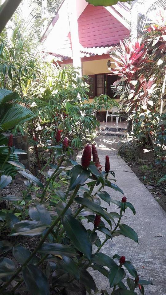 Photo 51