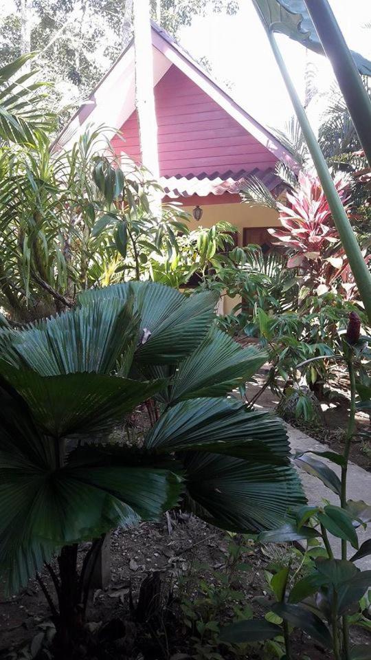 Photo 57
