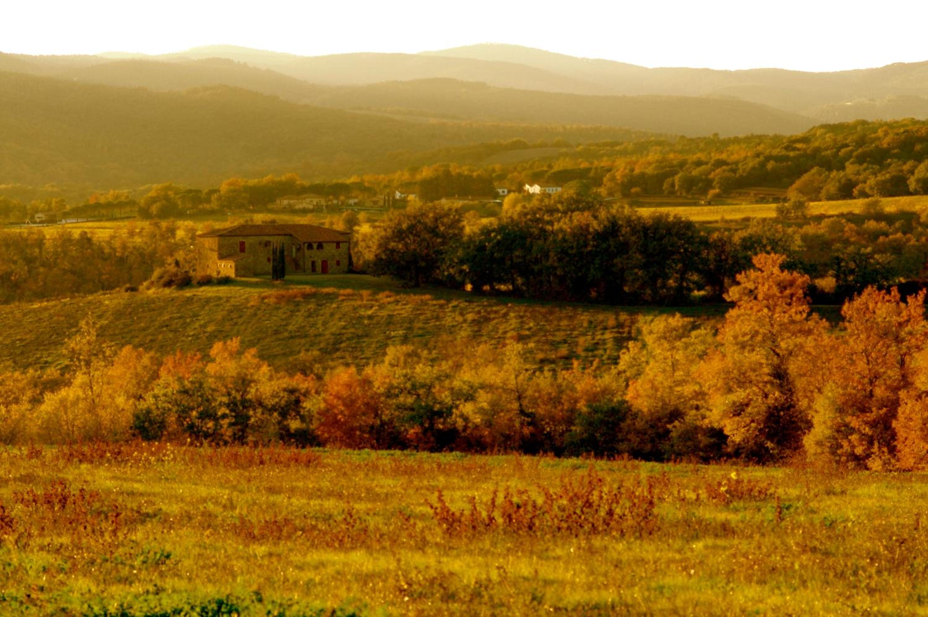 Tenuta Casabianca