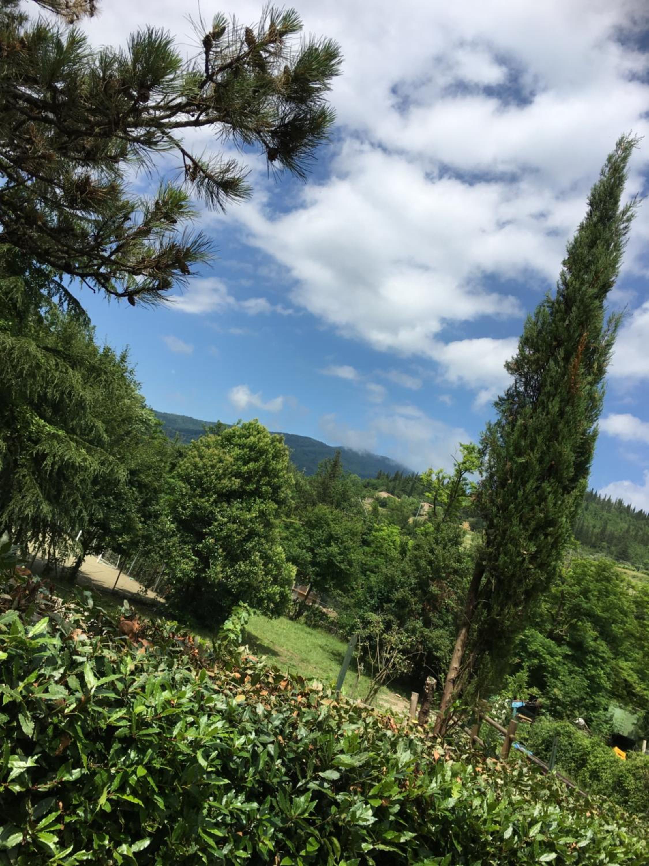 Tenuta dei Cavalieri - Image 5