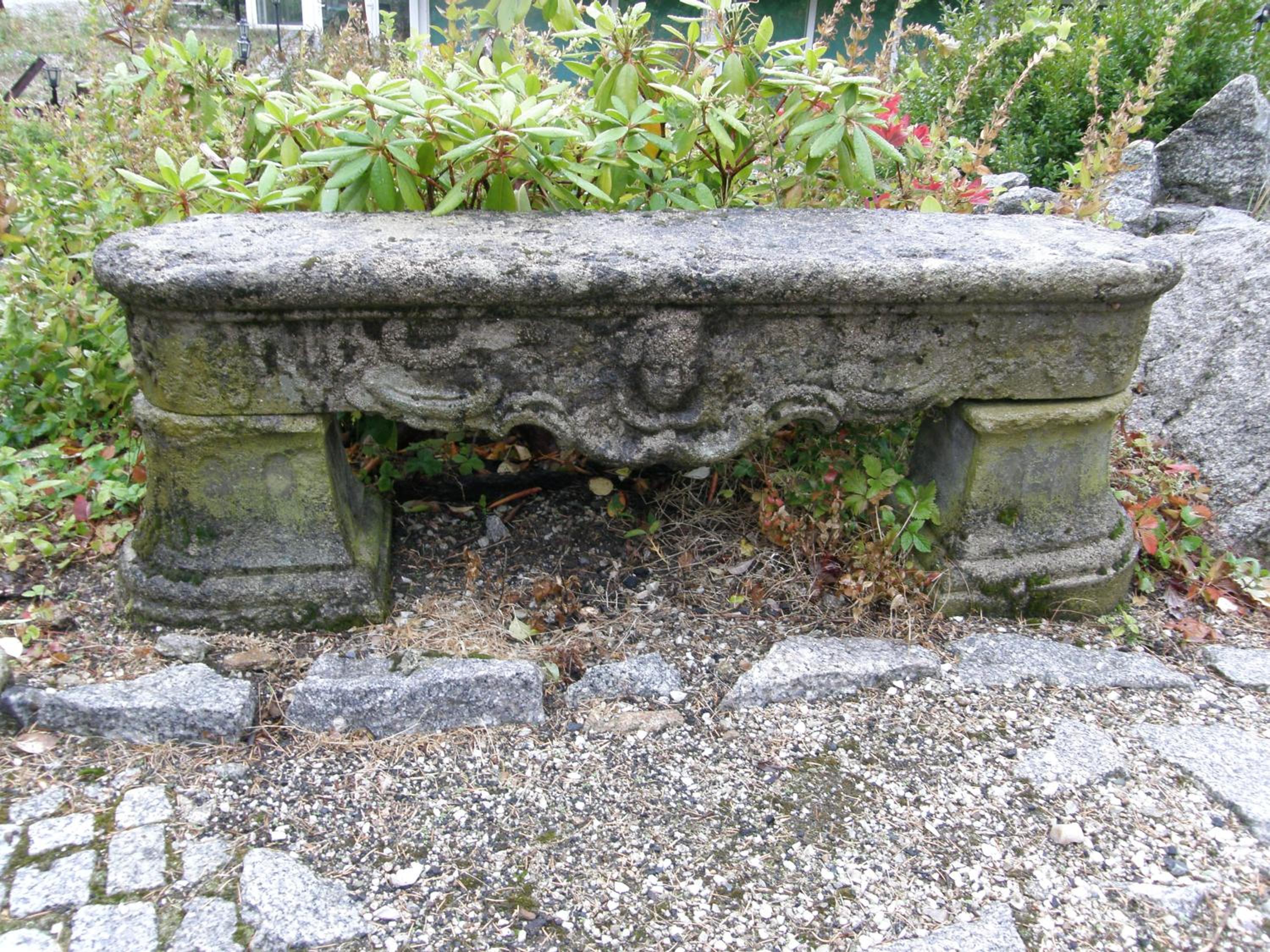 Photo 24