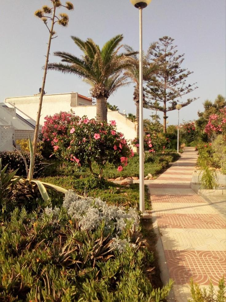 Estudio Frente Al Mar