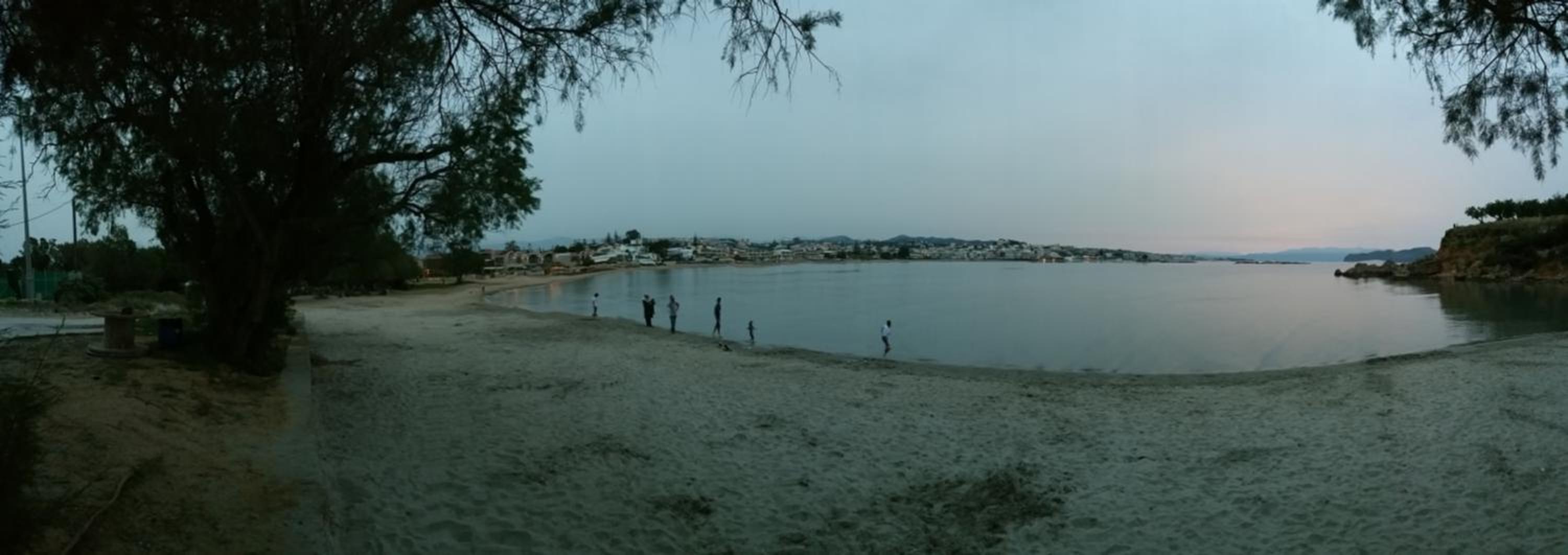 Zinovia