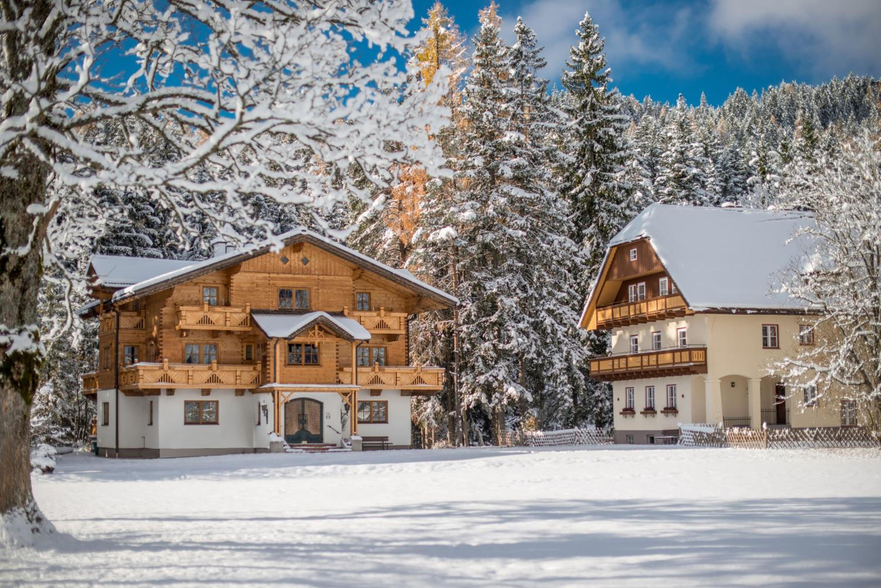 MEINE HEIMAT - Apartments in Ramsau am Dachstein - inklusive SOMMERCARD