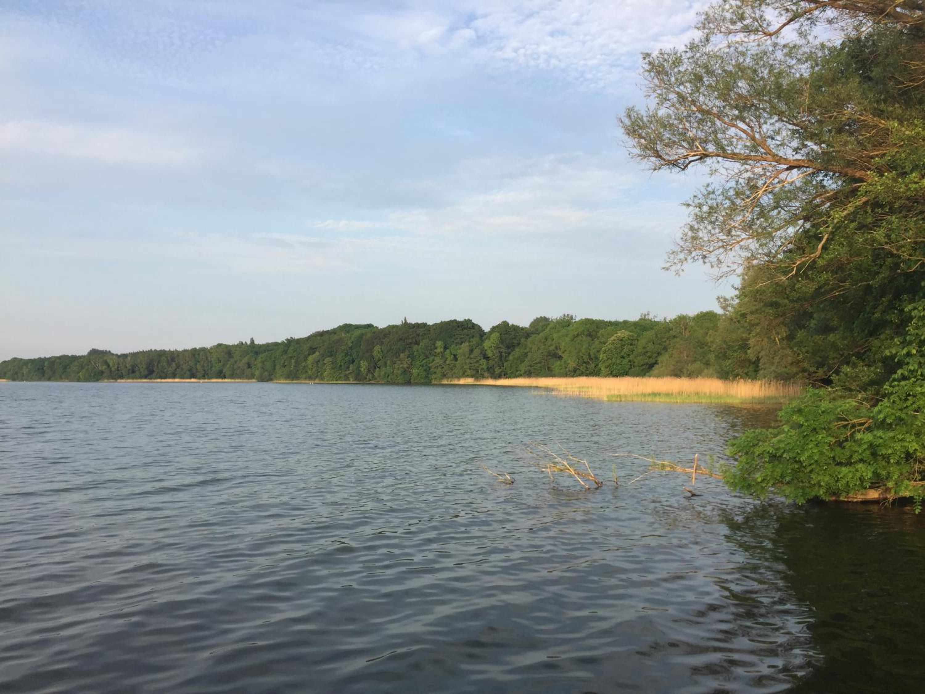 Norweger Haus am Tollensesee