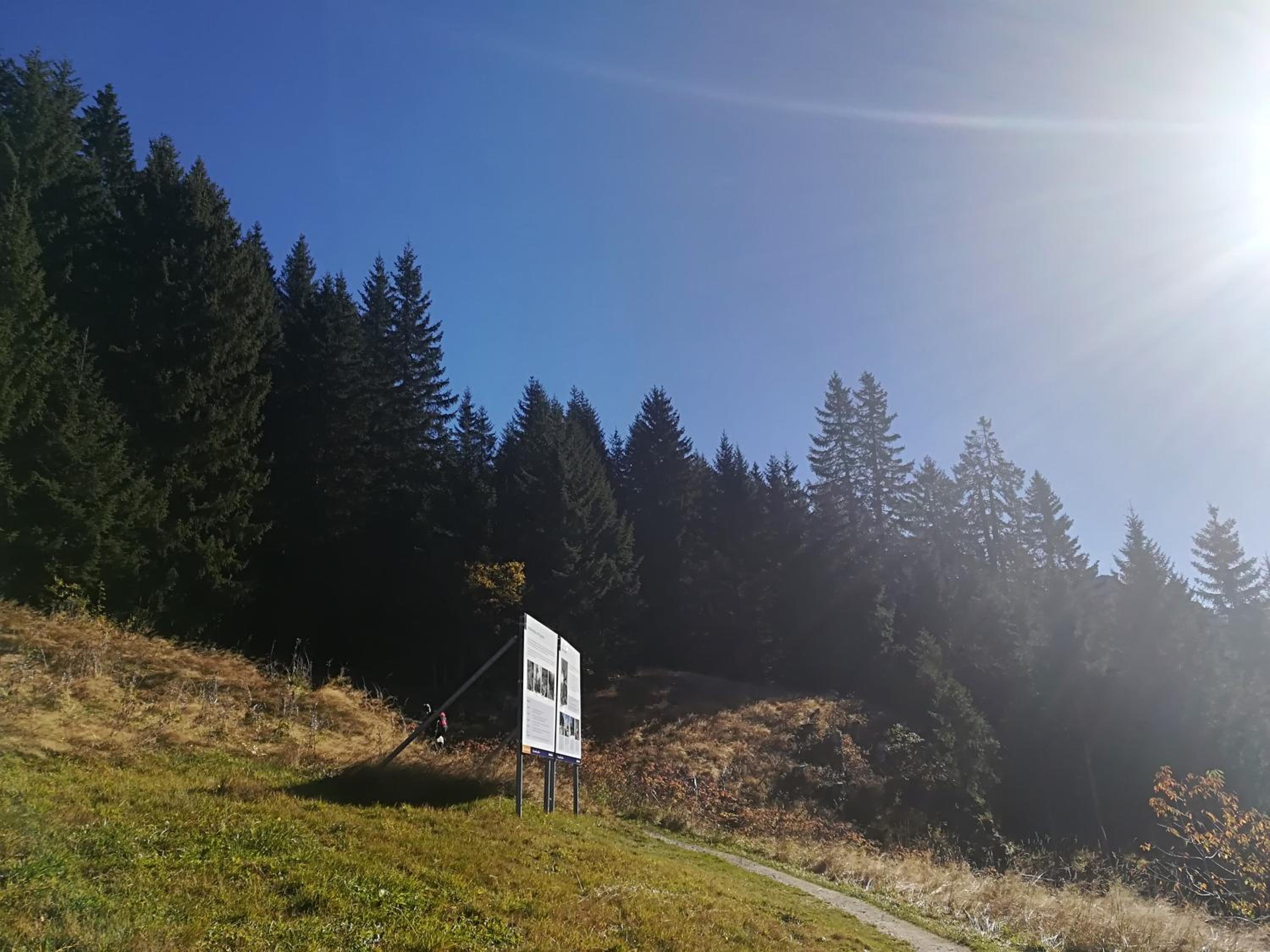 Wohlfühlpension Tirolerhof