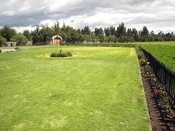 Photo 37