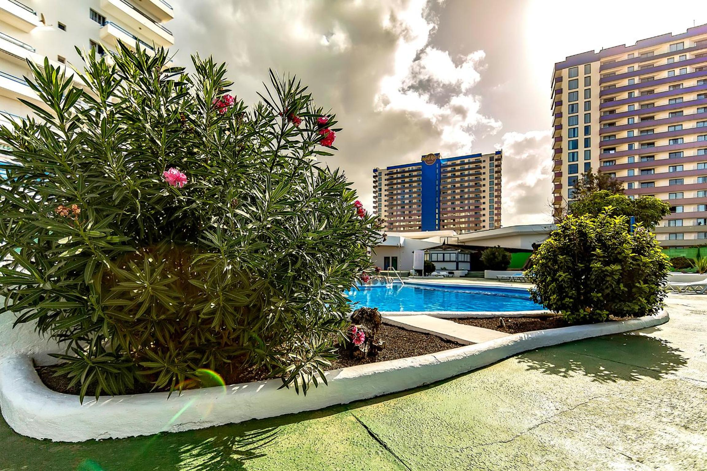 Mirador del Paraiso 213 - 2 bedrooms view 3