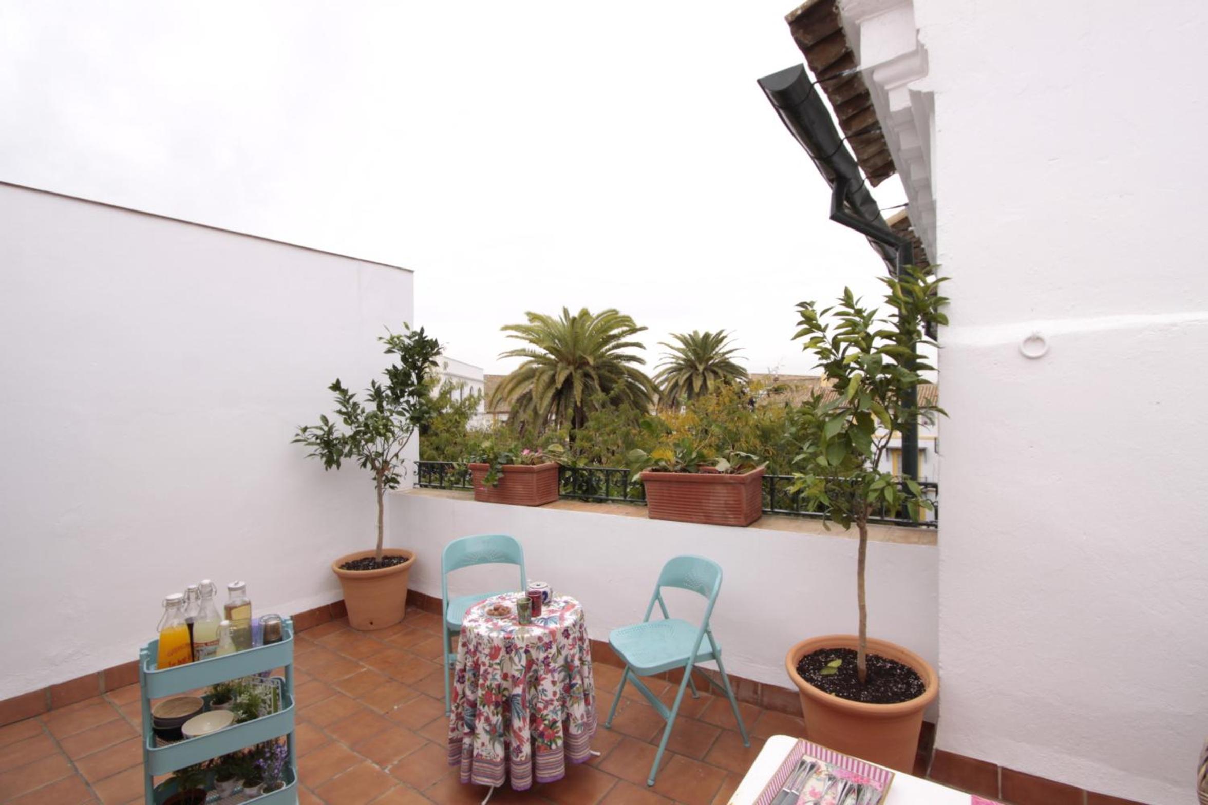 Apartamentos Plaza Pilatos