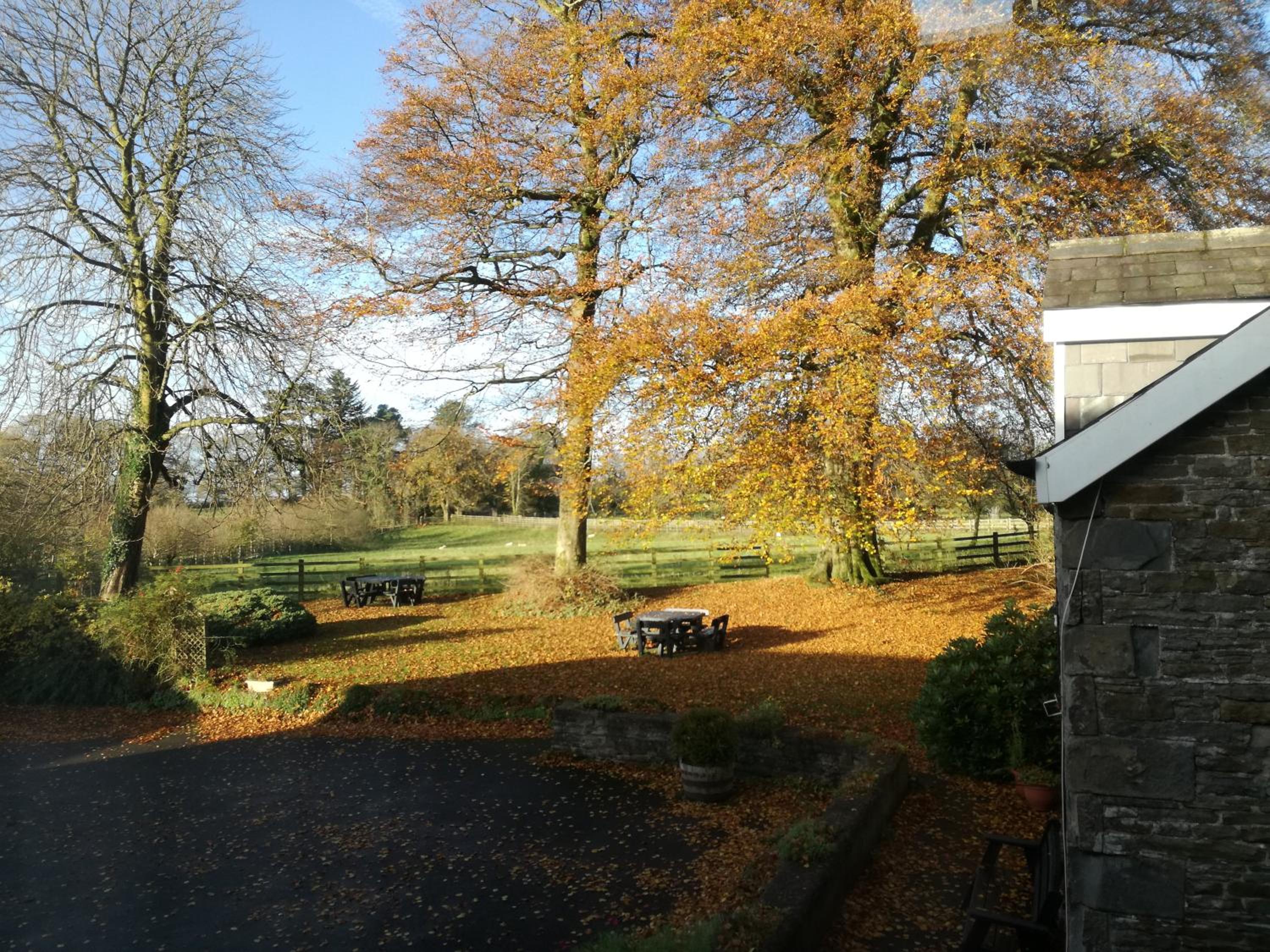 Swansea Valley Holiday Cottages