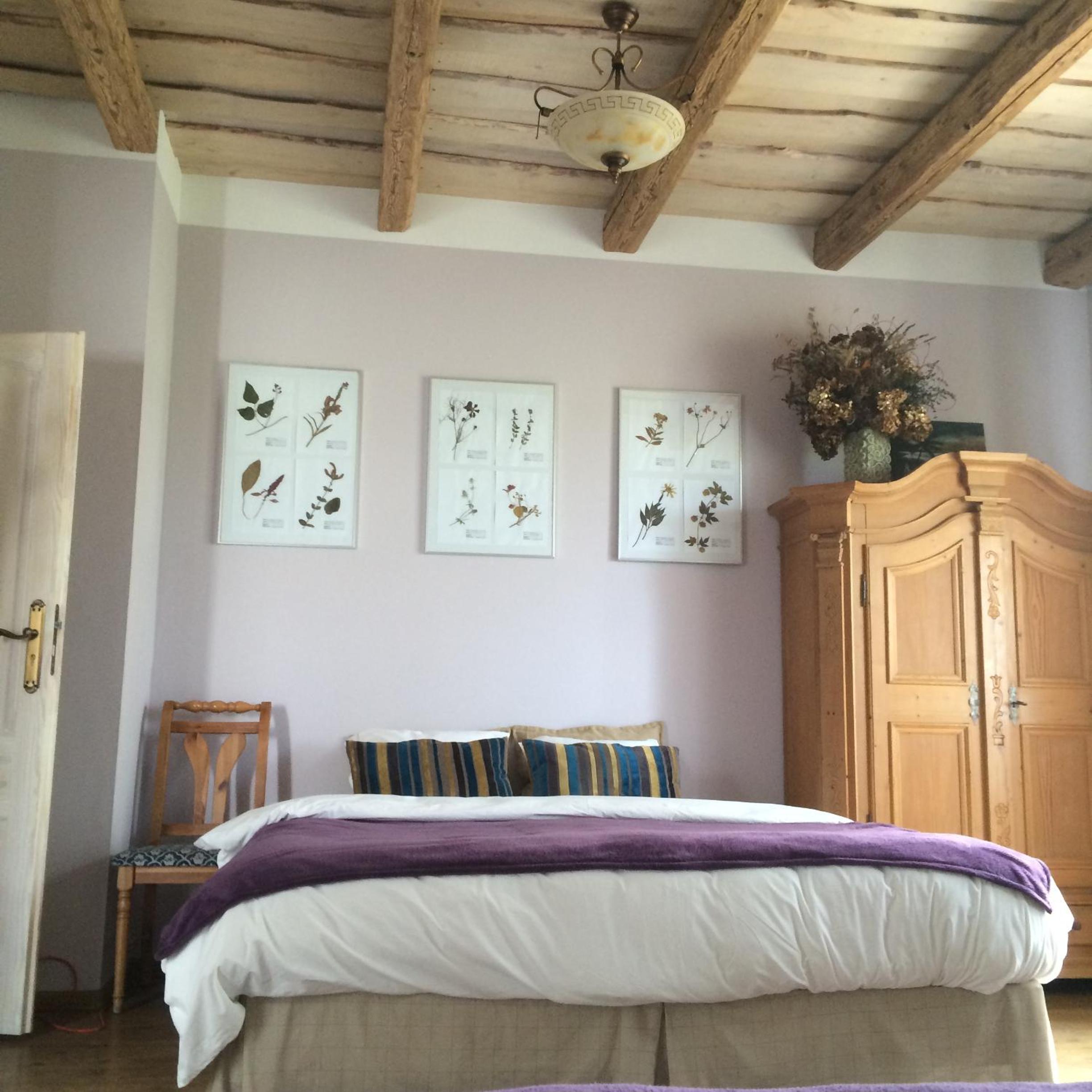agroturystyka Orzechowe Wzgórze