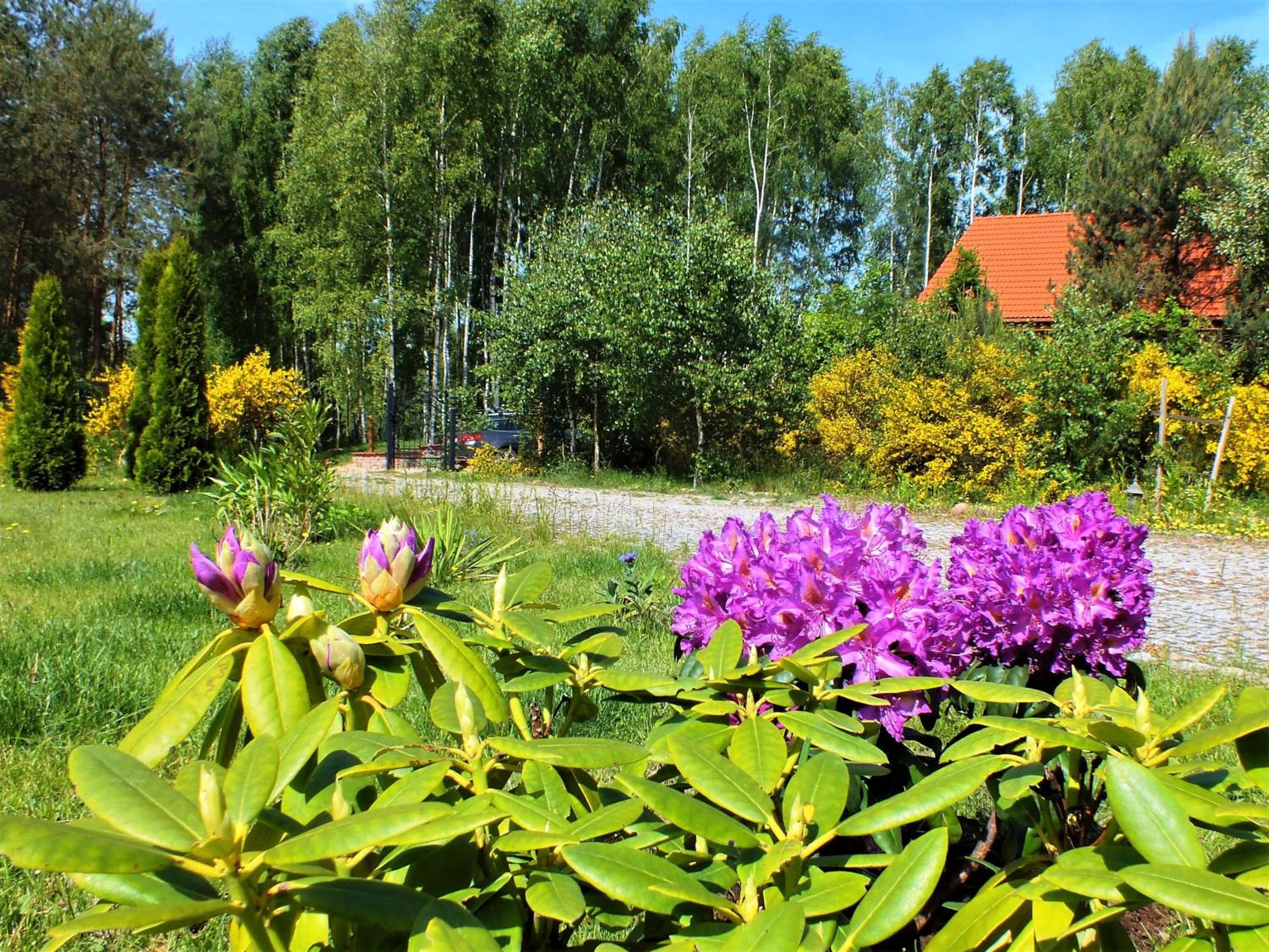 Sumówko Leśne Siedlisko view 5