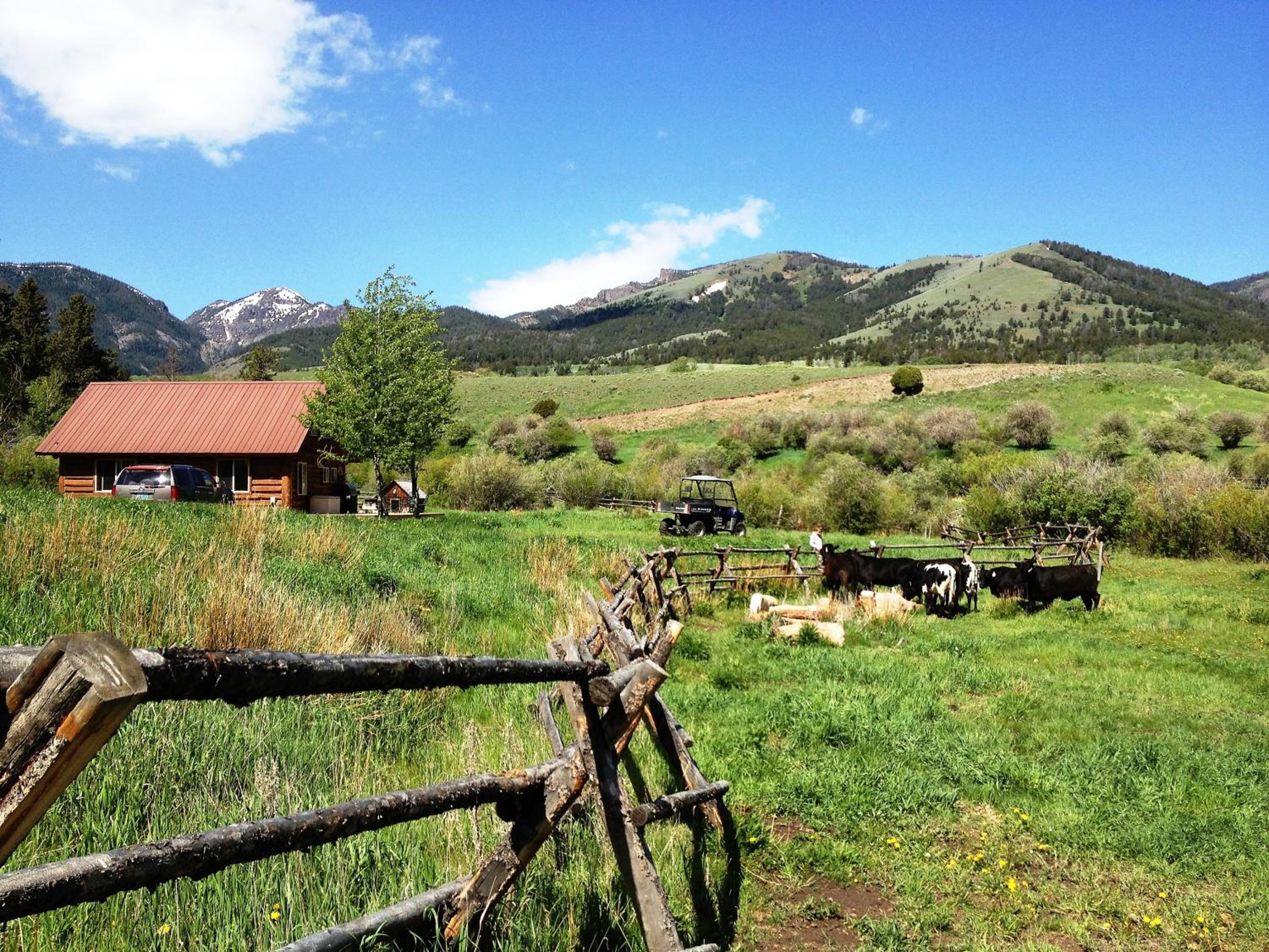 Grandpa's Cabin view 5
