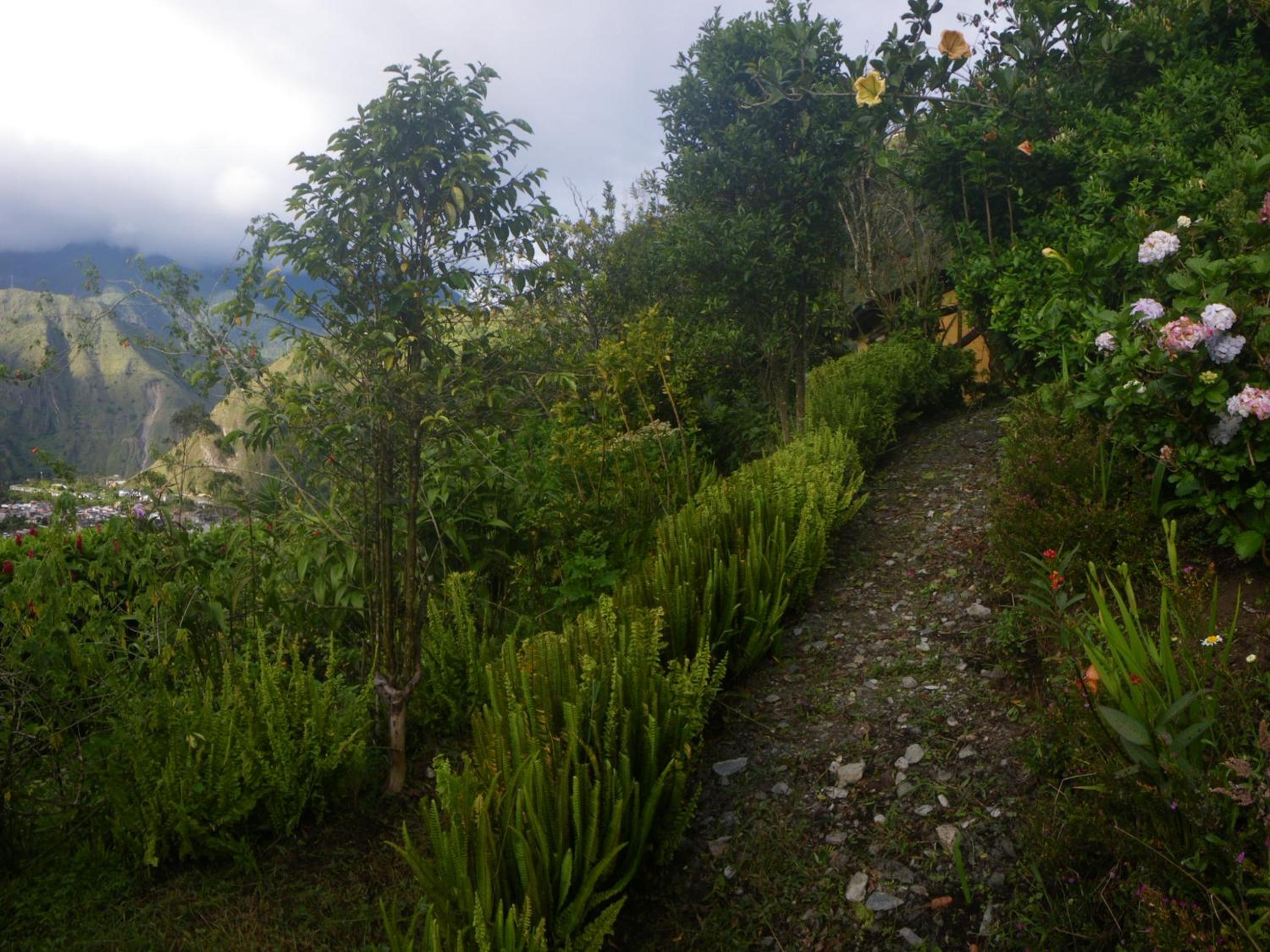 La Casa Amarilla