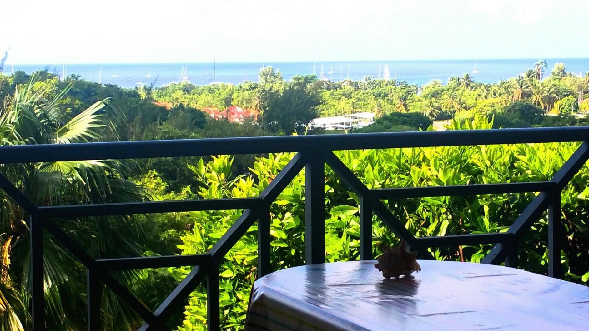 Studios Carribean Sea View