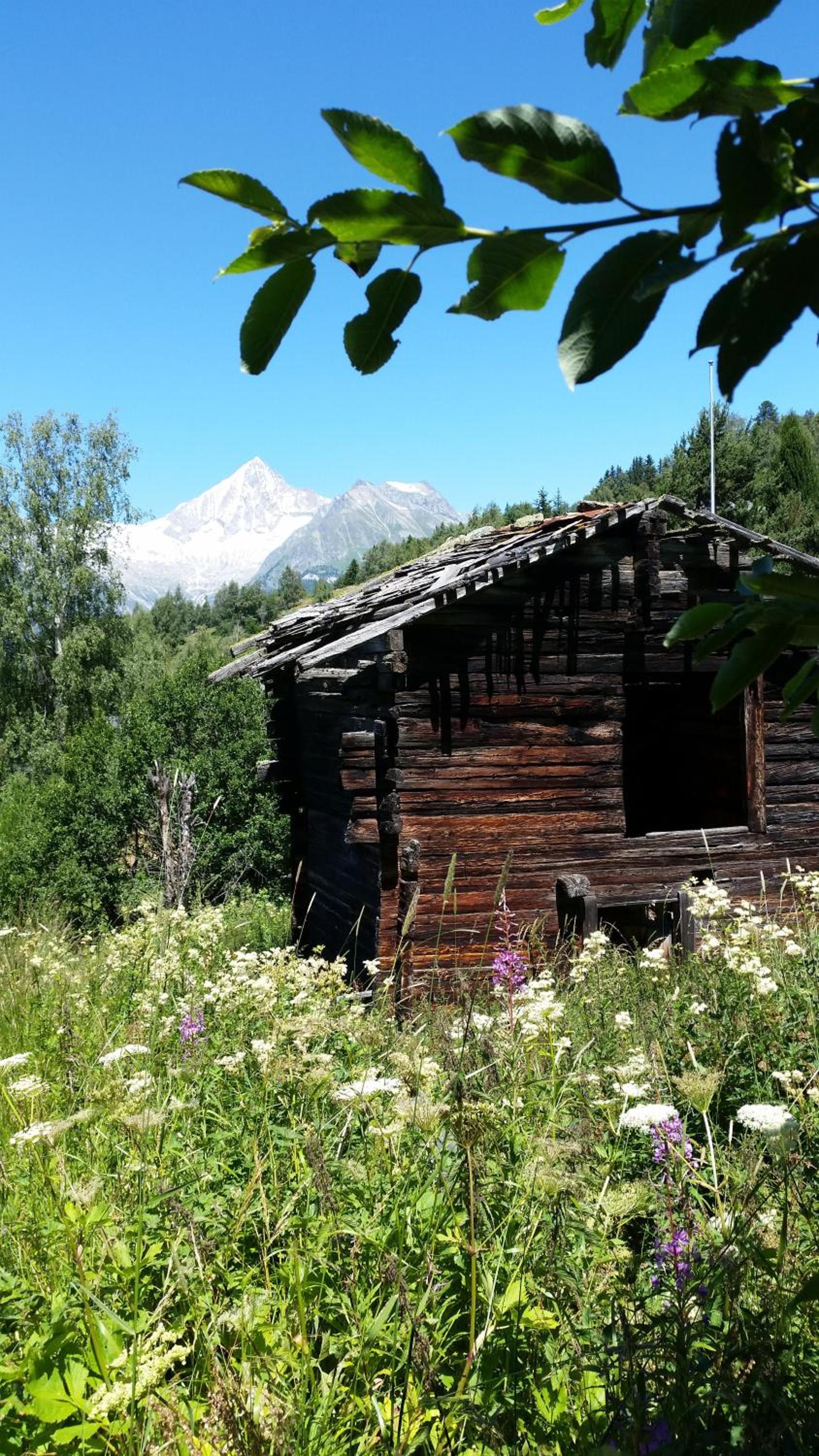 Chalet Bergmann