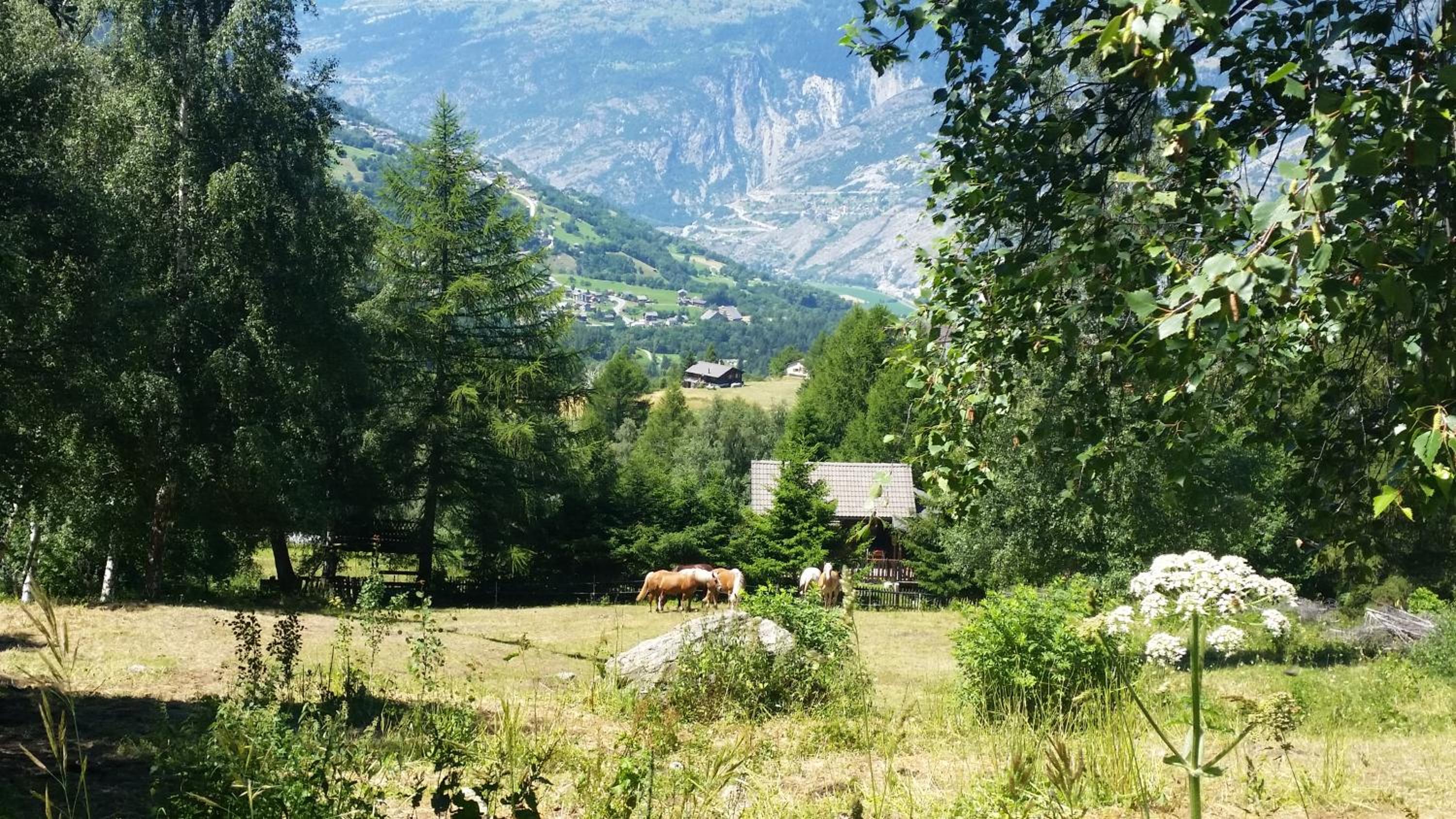 Chalet Bergmann