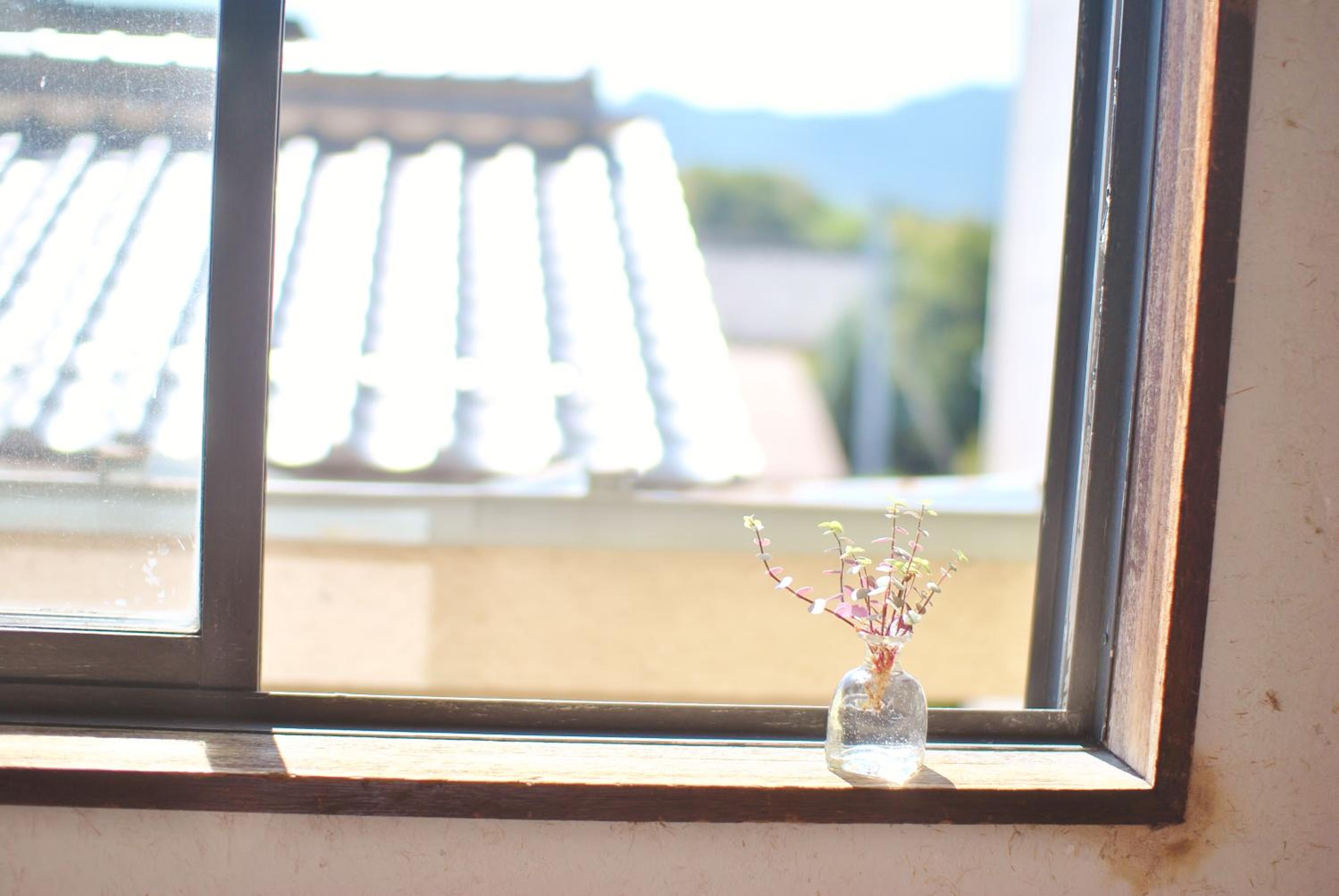 Ruco, photo 37