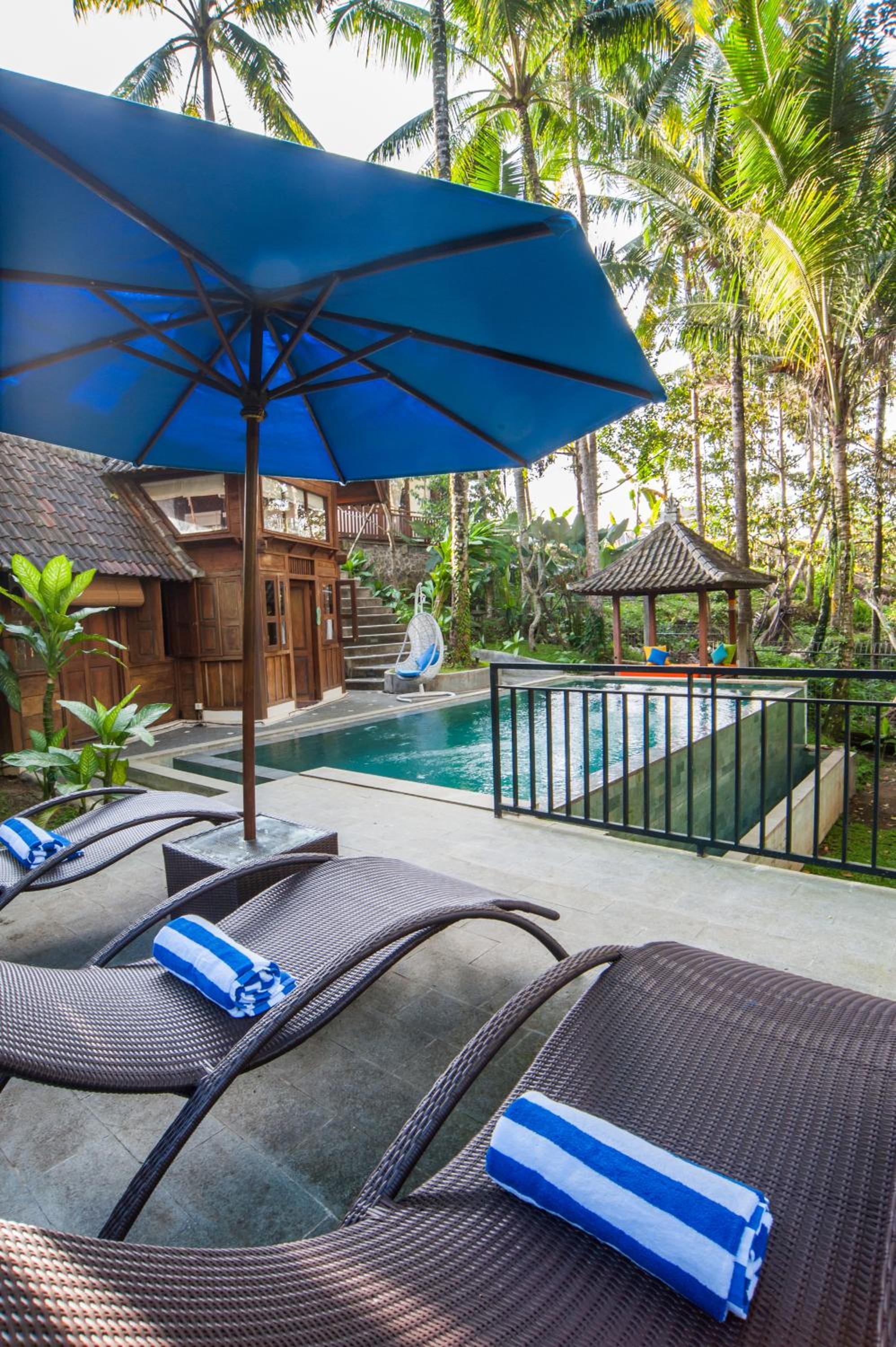 Tirta Padi Villa Ubud view 3