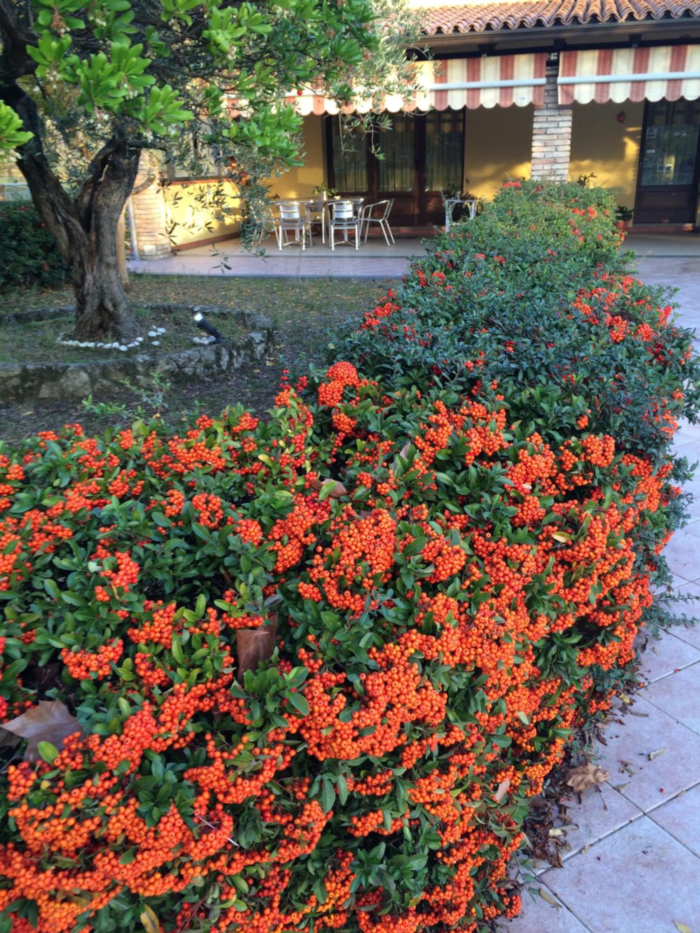 Agriturismo 7 Colonne view 2