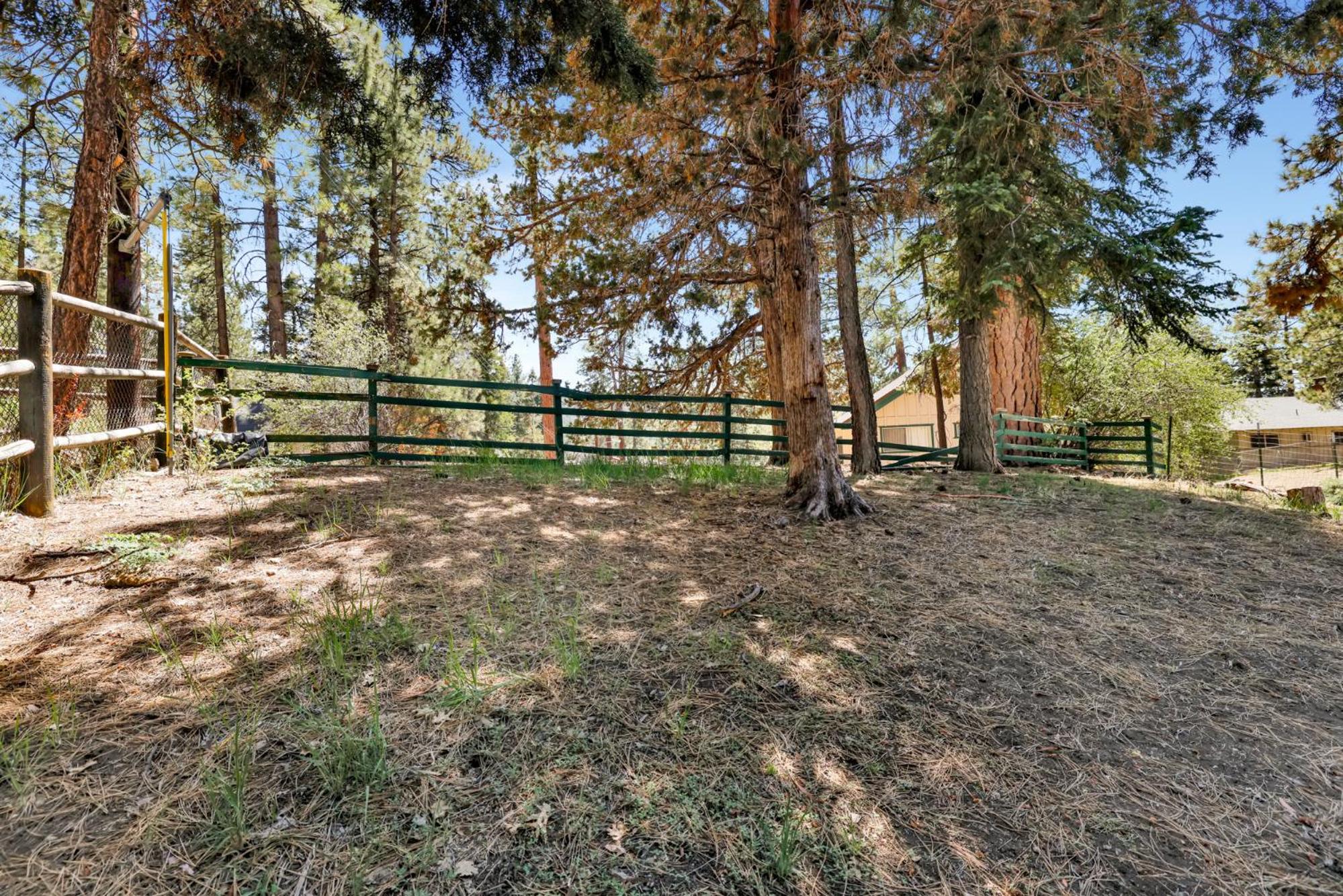 Three bears cabin #1574