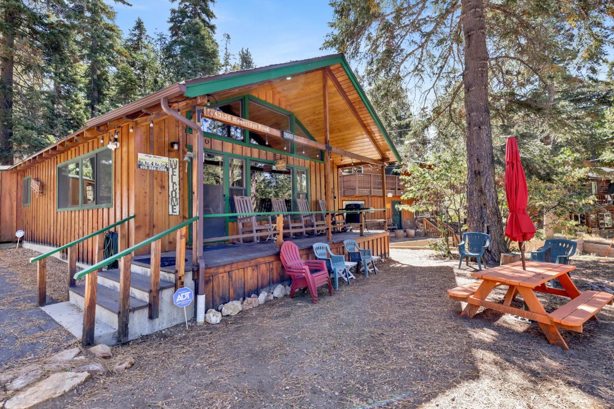 Bear cub cabin #2069