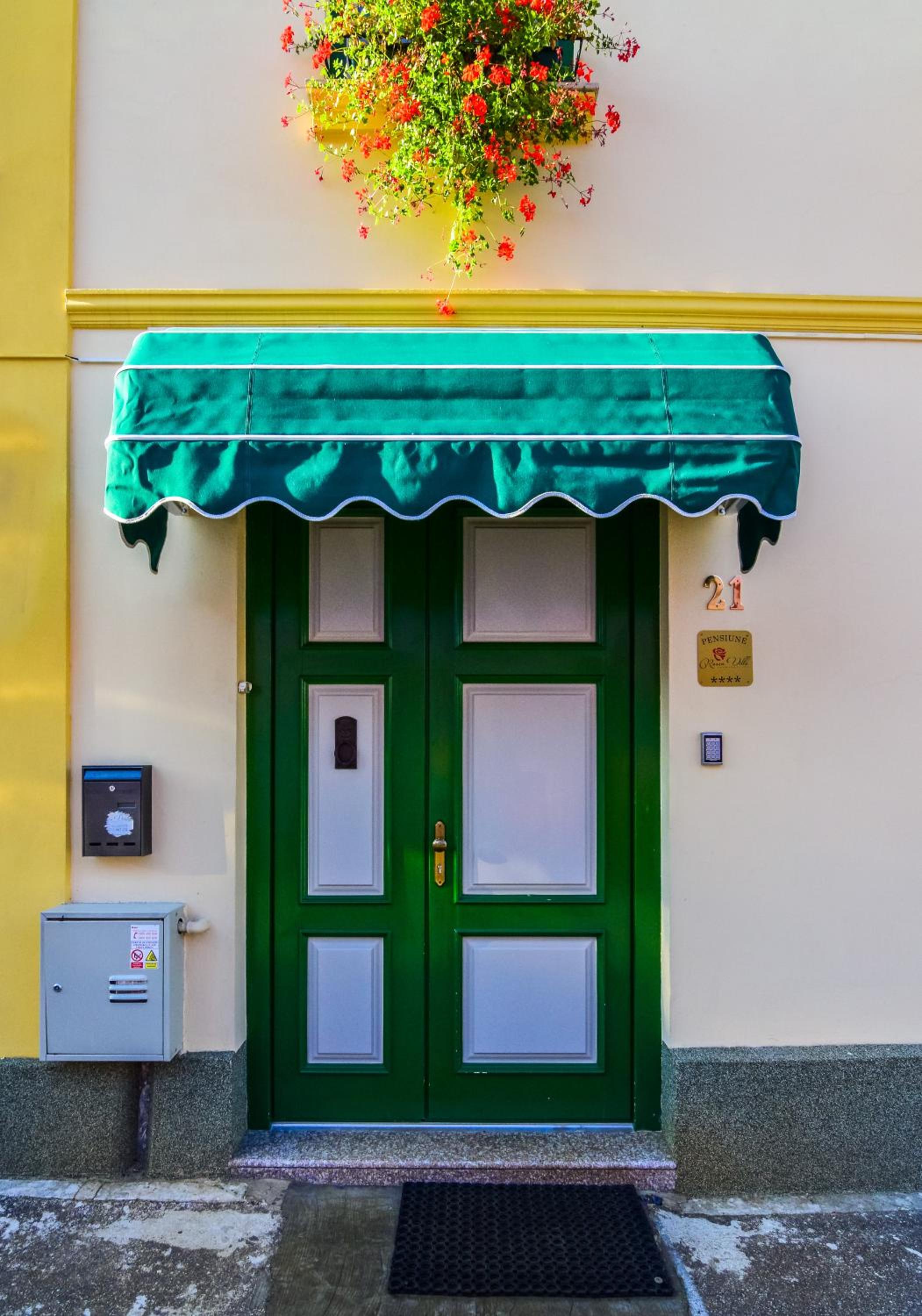 Rosen Villa Sibiu — photo 96
