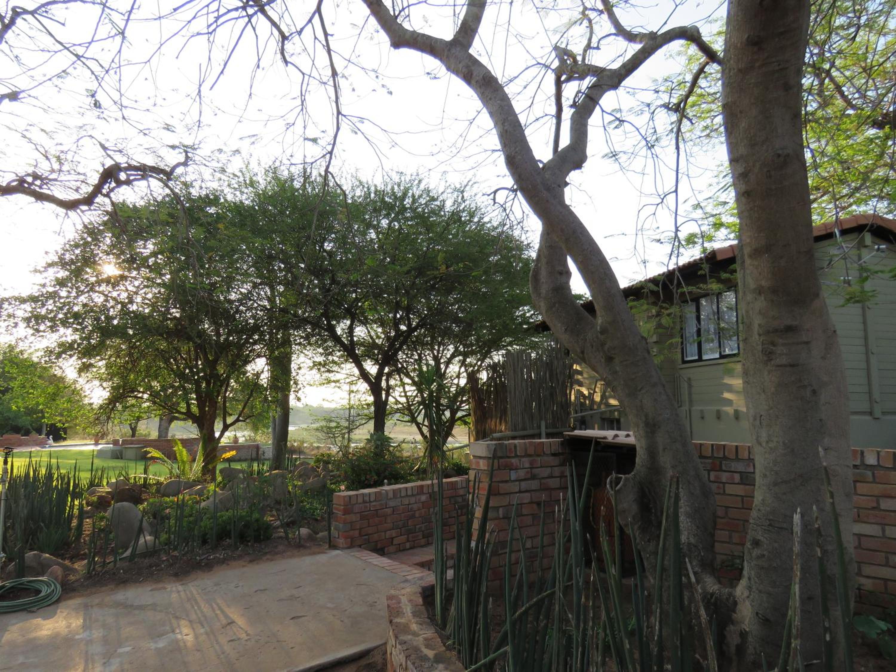 Photo 8