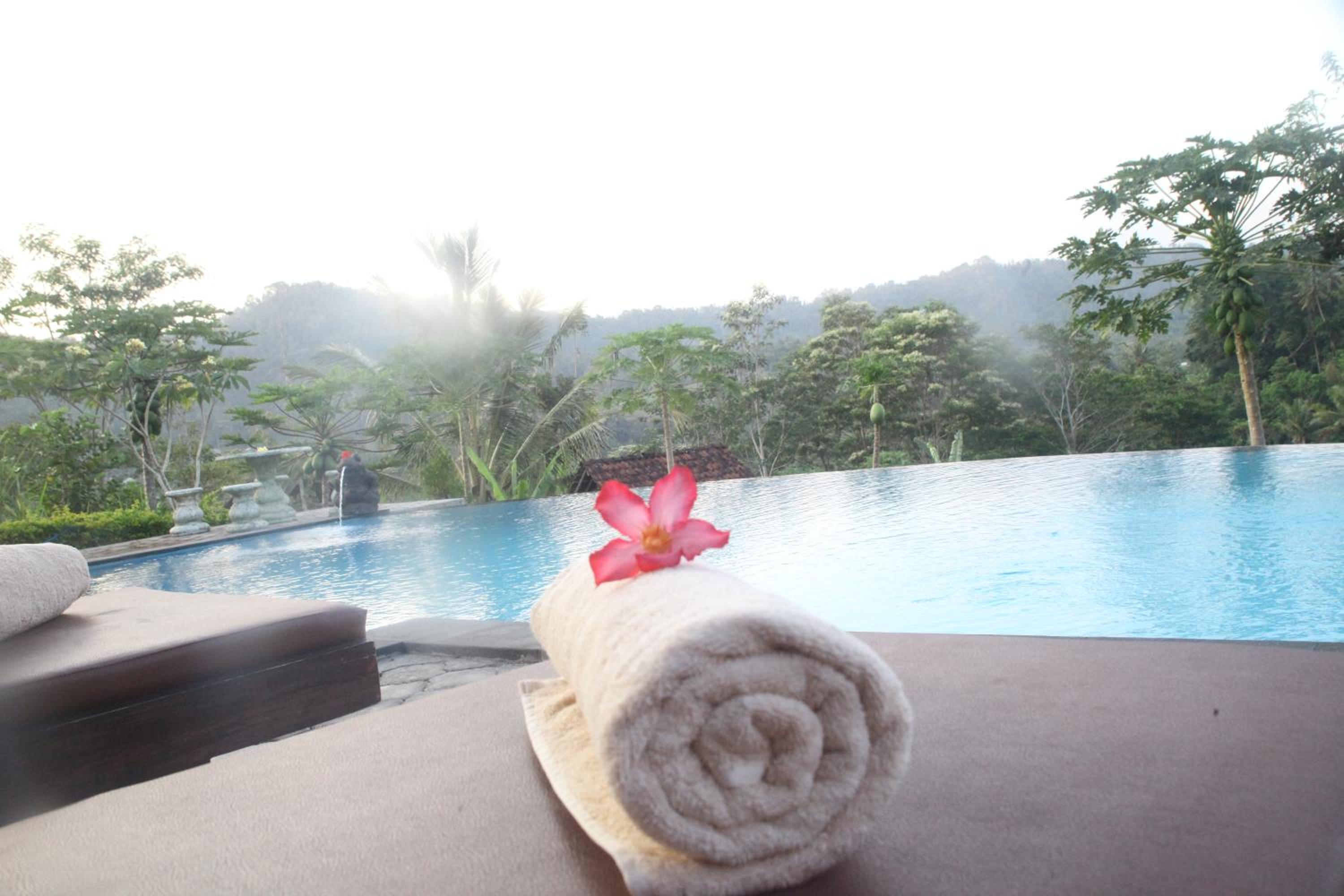 Photo 36