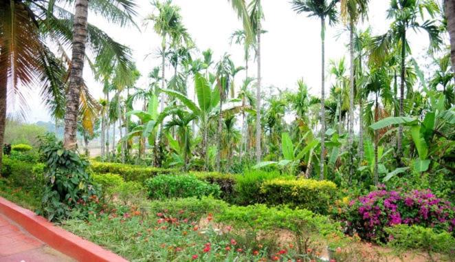 Simply Coorg Estate Villa view 3